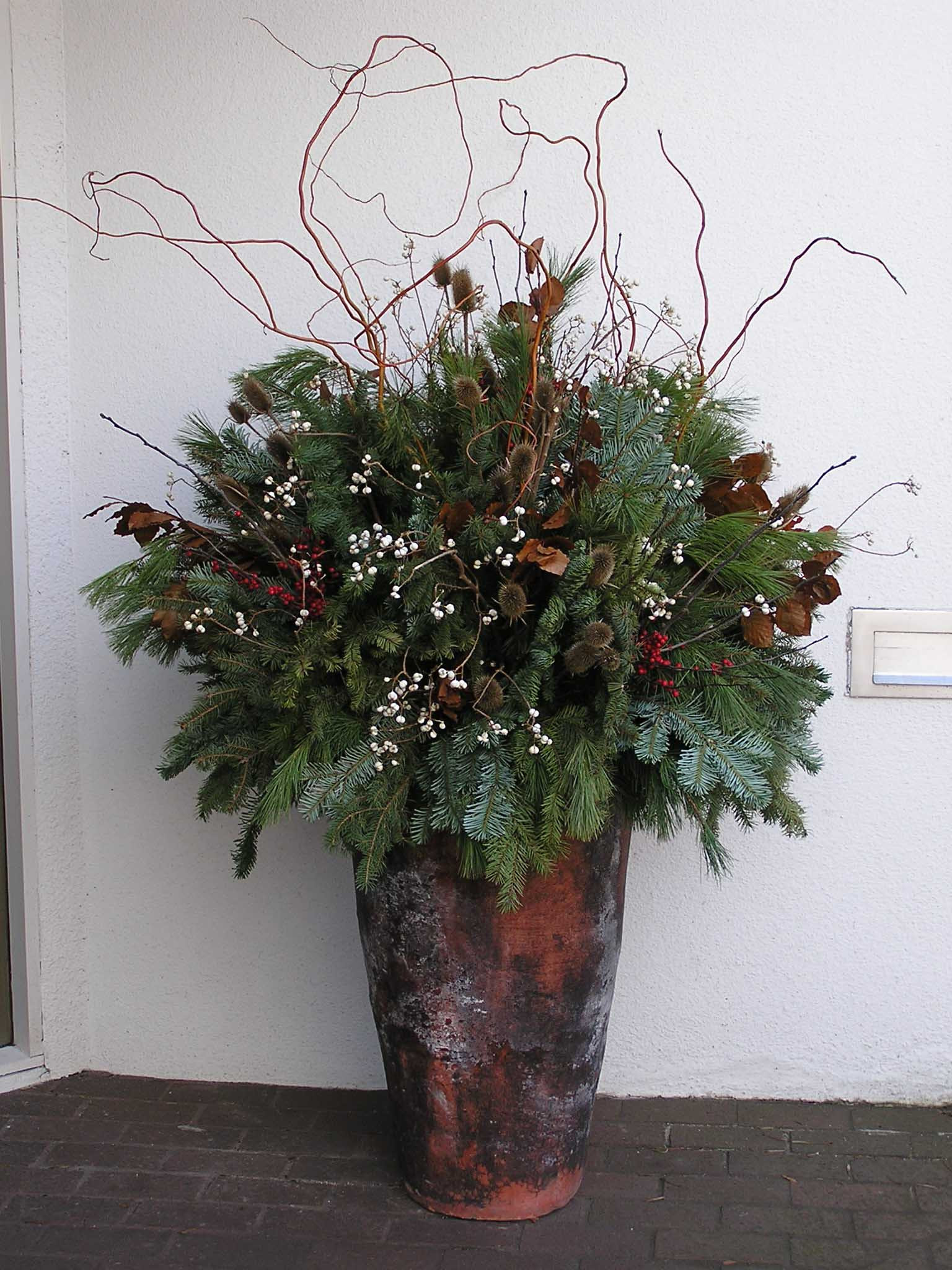 Как правильно: Горшечный сад осенью — проводим апгрейд