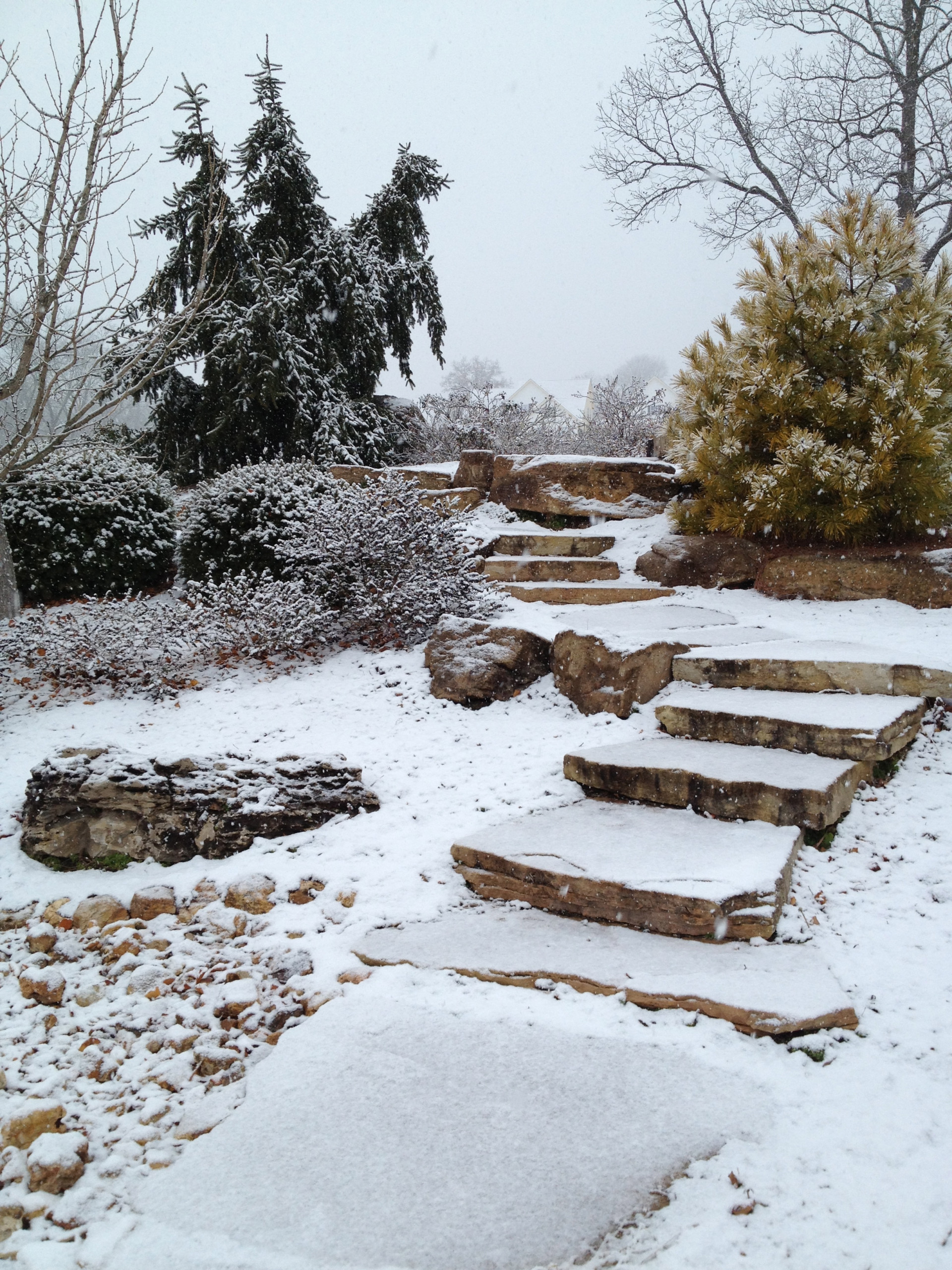 Ледниковый период: Как уберечь растения зимой