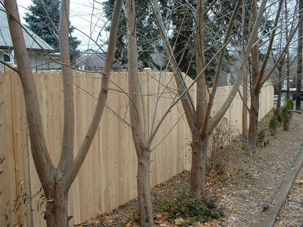 Весне дорогу: Садовый календарь на апрель