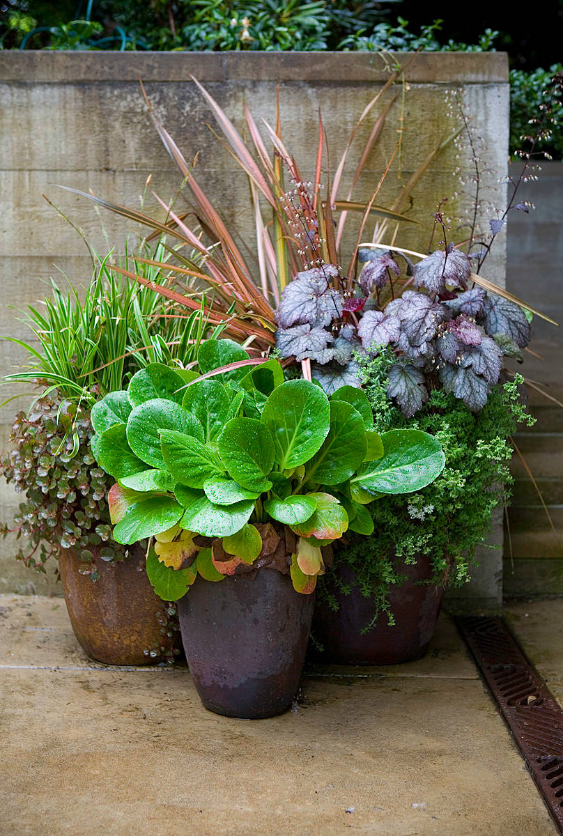 Как правильно: Сделать горшечный сад в середине лета