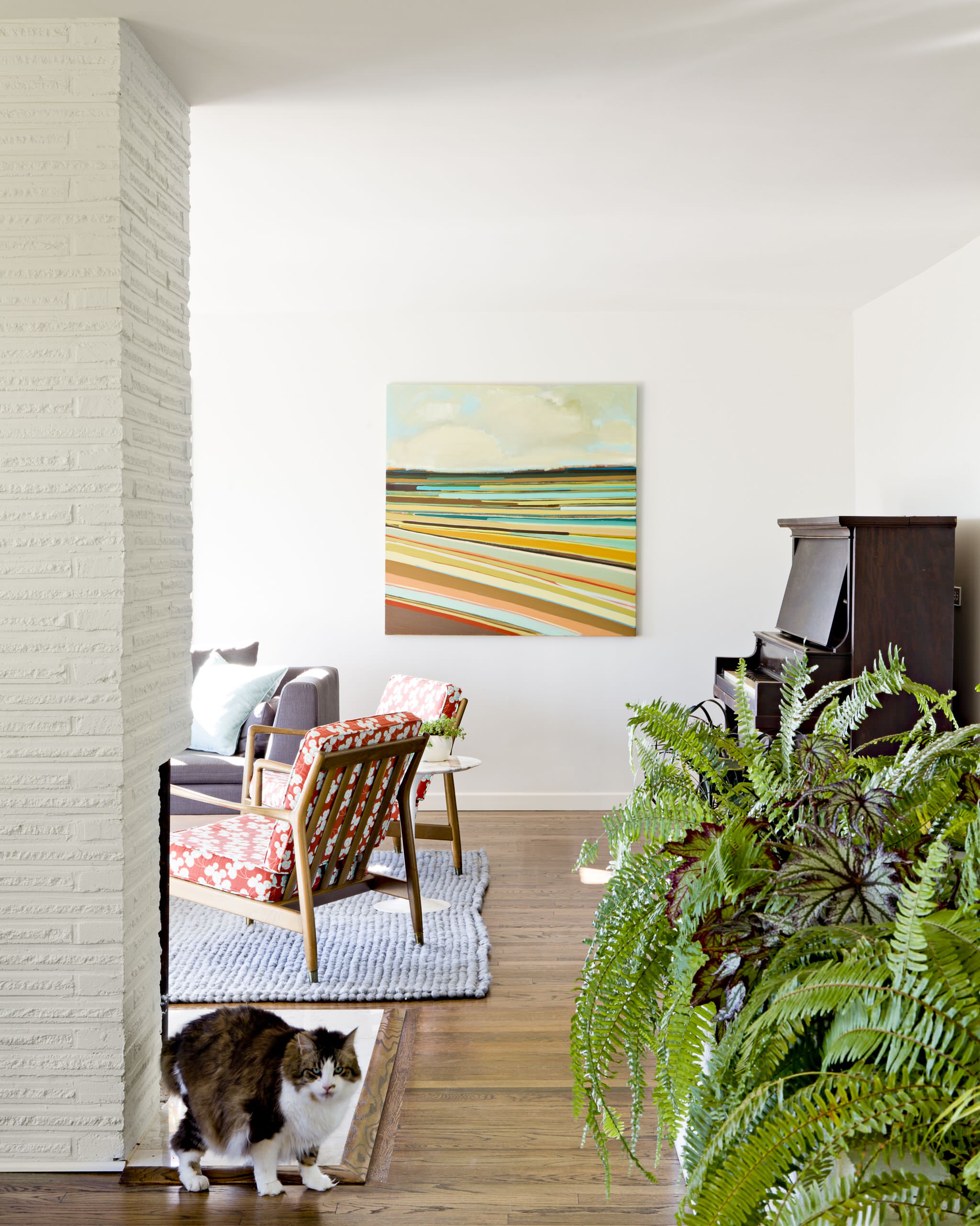 Чистый яд: Комнатные растения, которым не место в доме