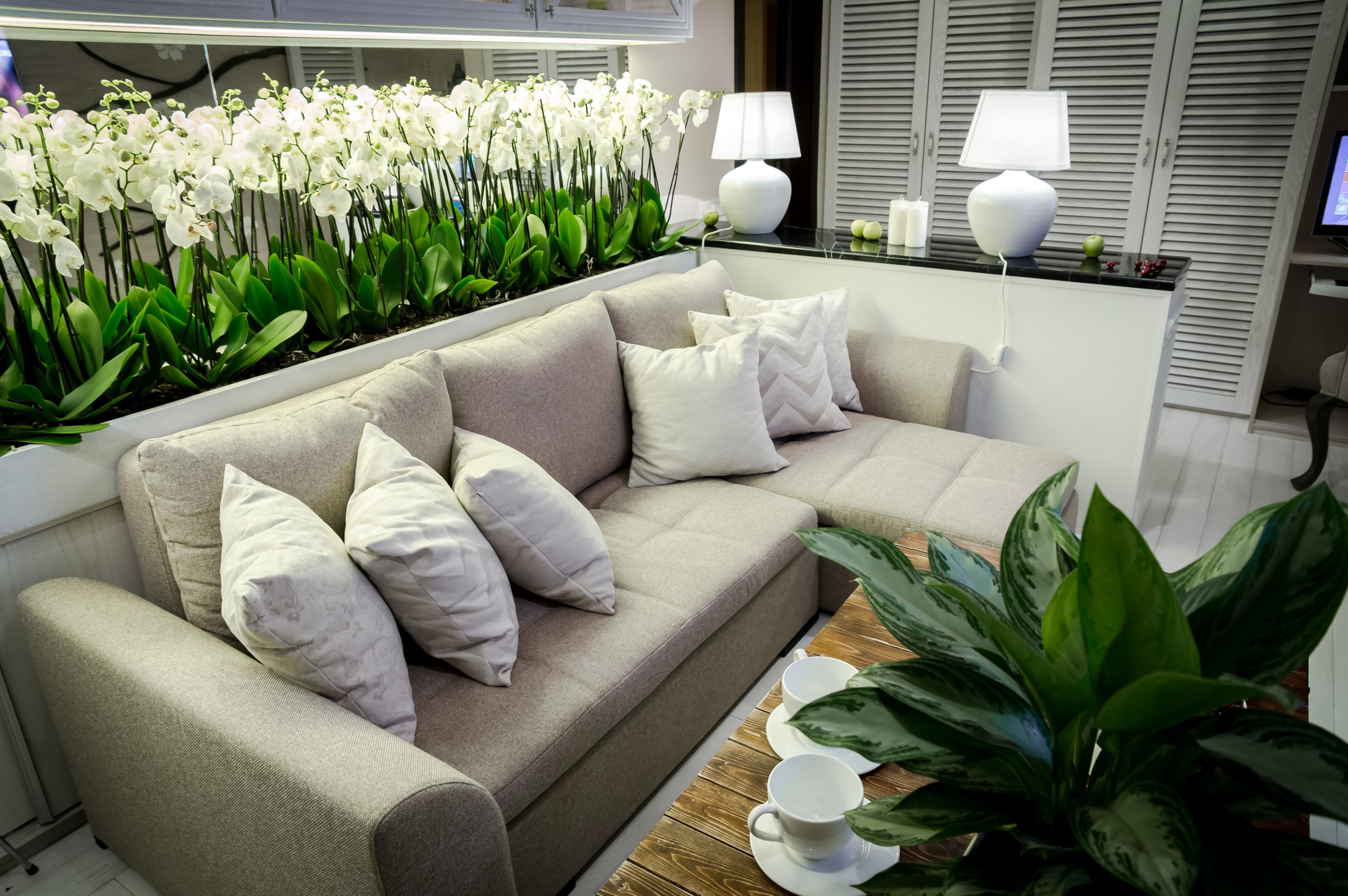 Гостиная недели: Интерьер 16 кв.м, превращенный в вишневый сад