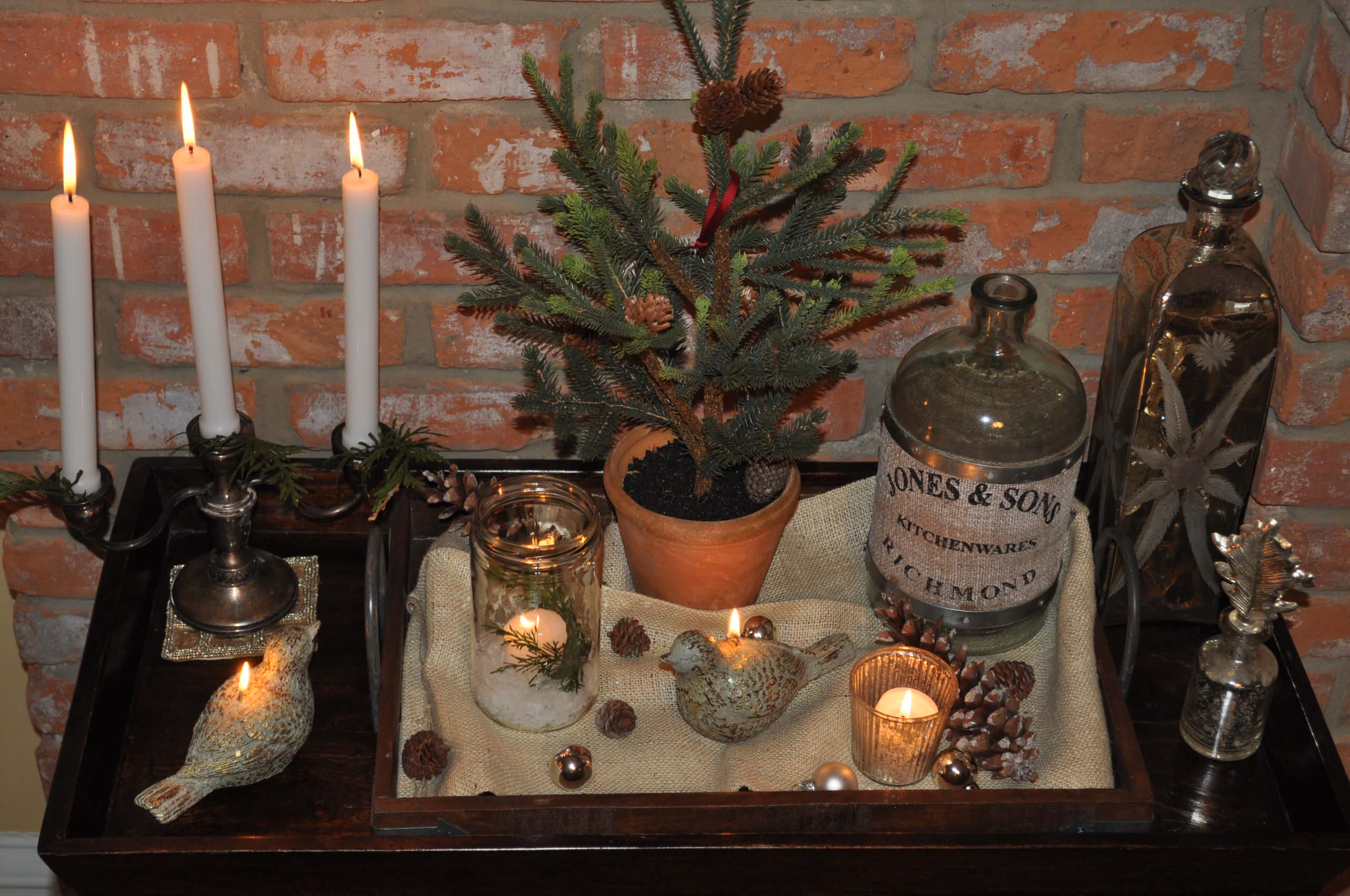 Новогодняя ель в горшке: Можно ли сохранить ее до весны