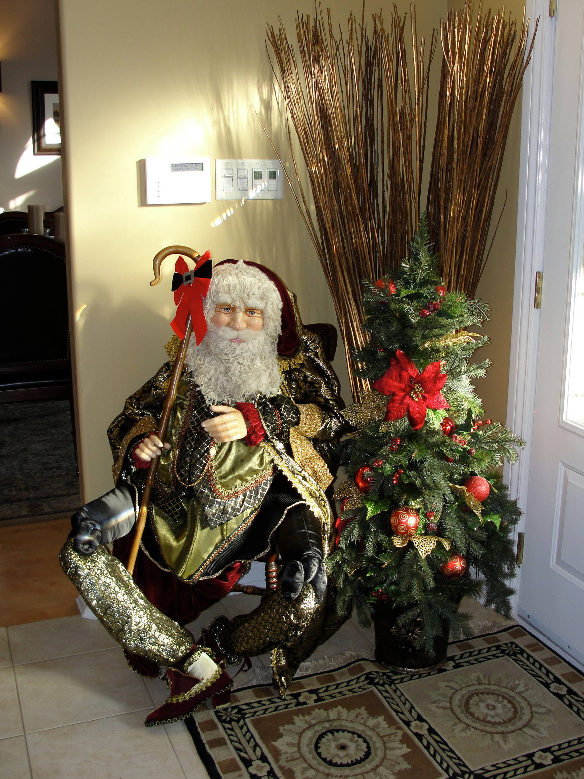 Новогодняя ель в горшке: Можно ли сохранить ее до весны