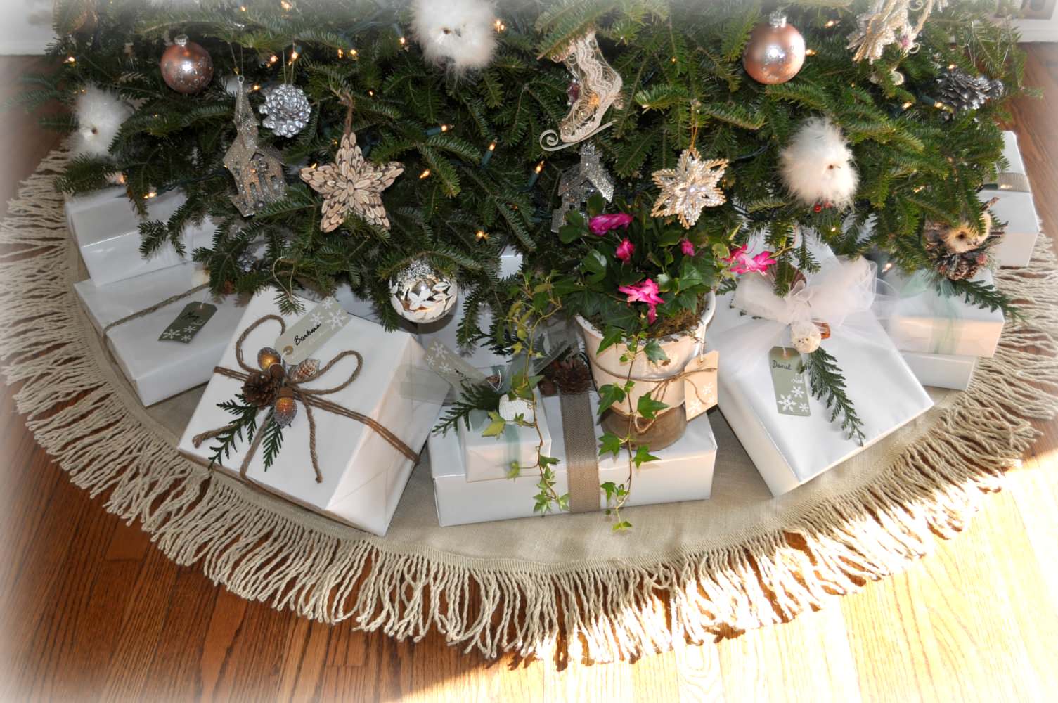 Новогодняя ель в горшке: Можно ли сохранить ее до весны