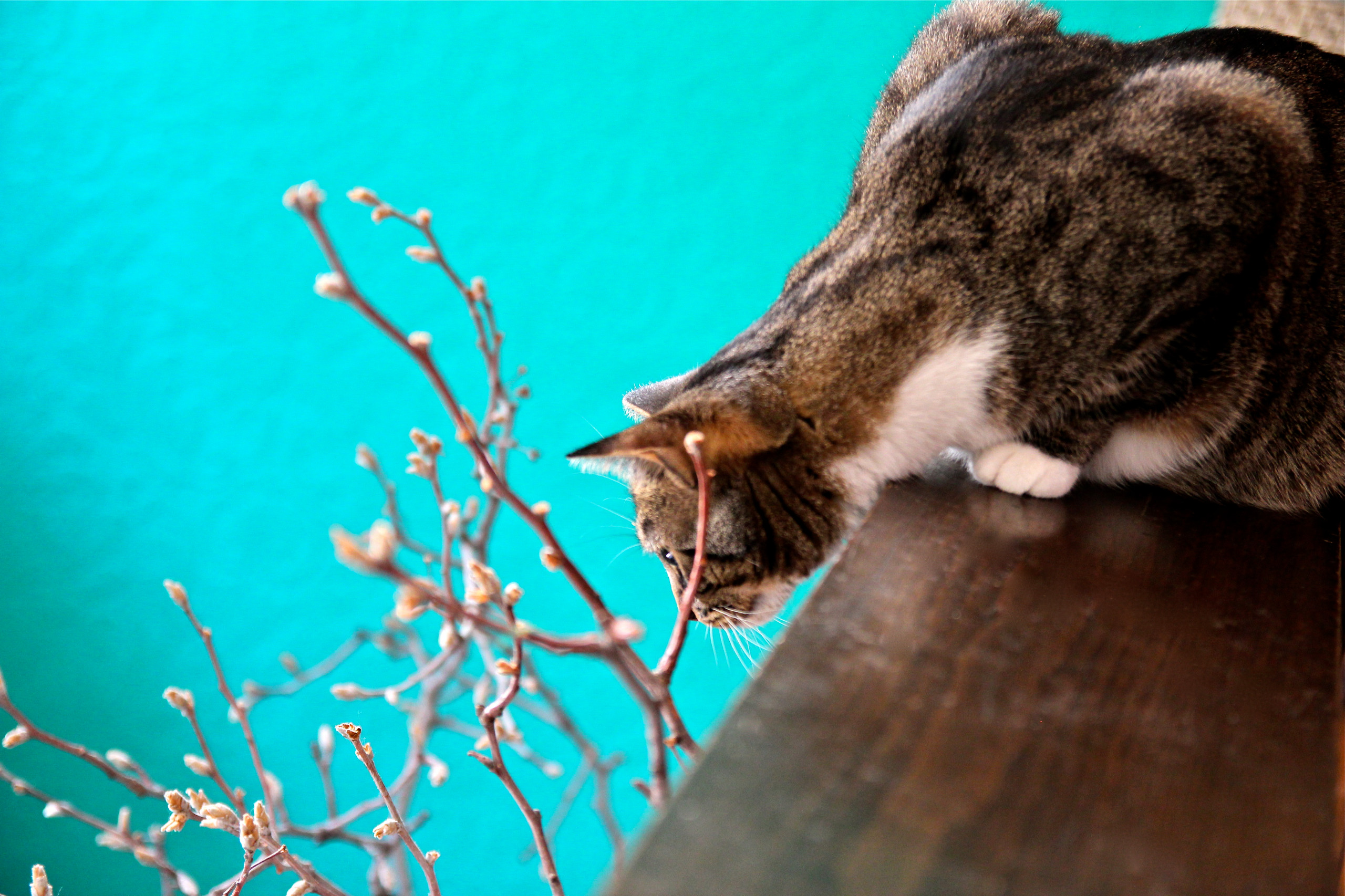 Дачные привычки: Что стоит «взять» с собой в город