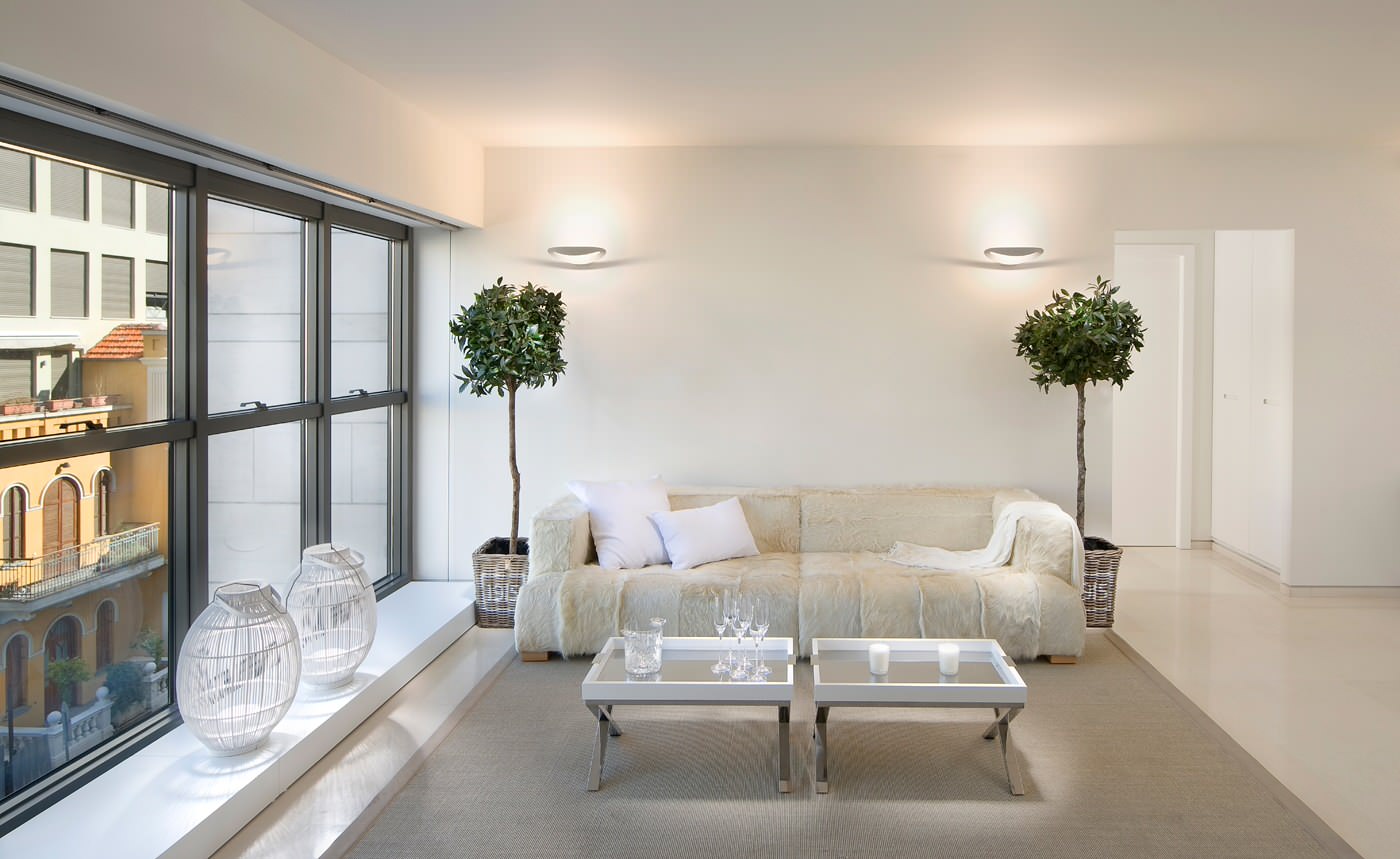 Комнатные деревья: Что вам нужно знать о выращивании лимонов в доме