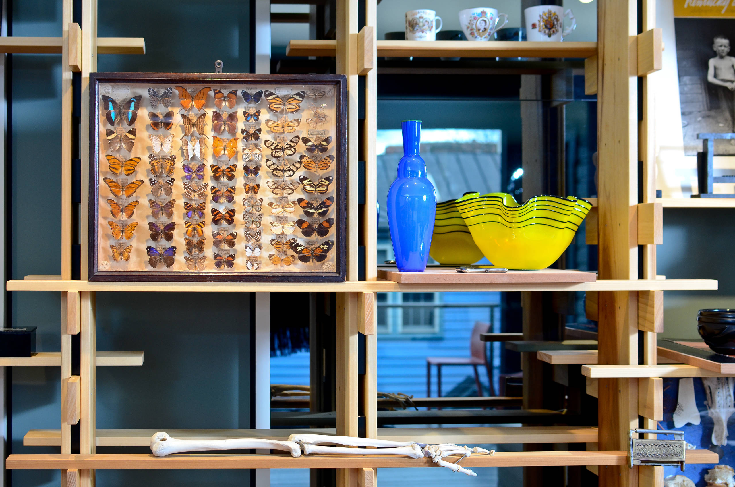 Houzz США: Дом коллекционера с тремя библиотеками и потайной дверью