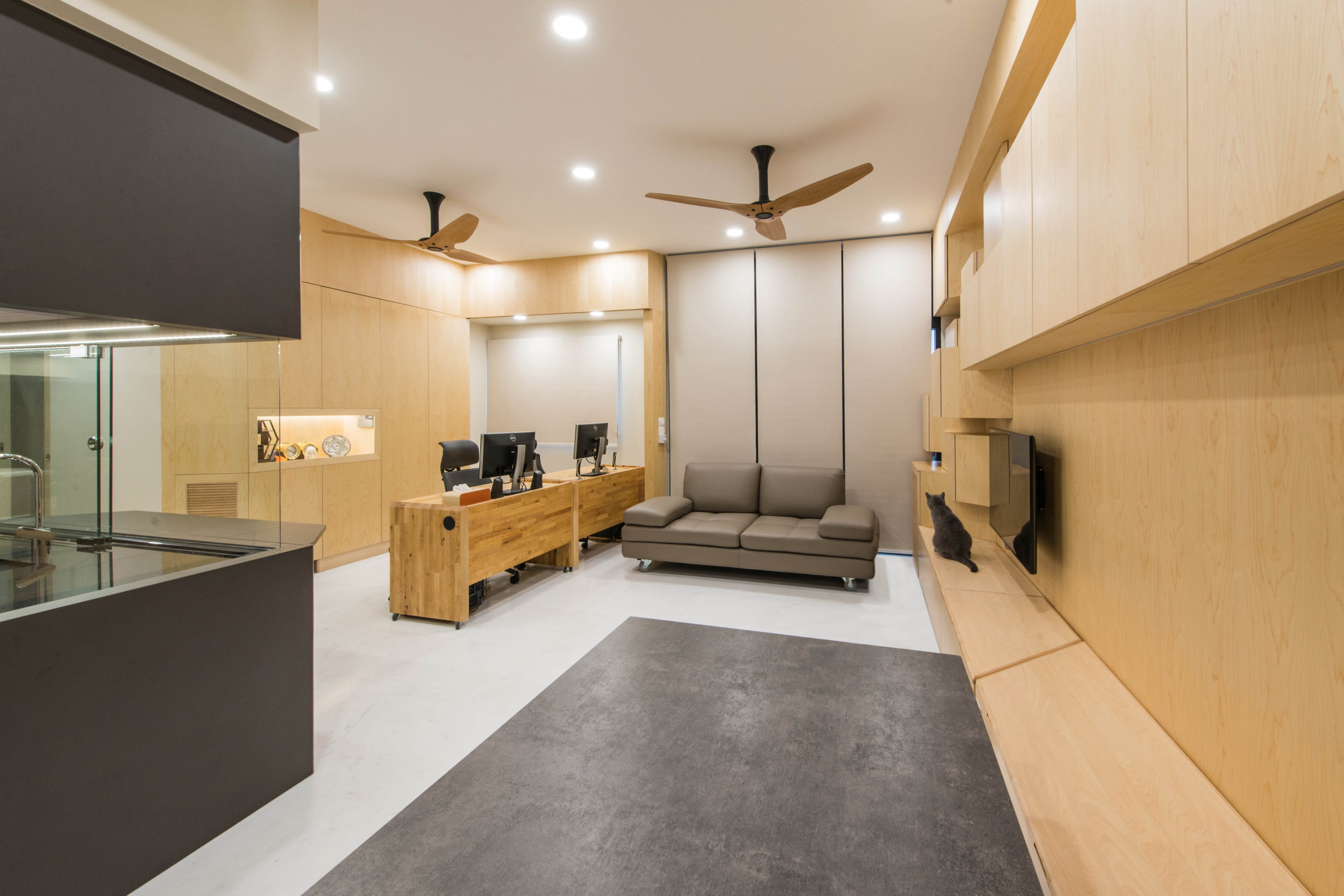 Проект недели: Гостиная для кошек