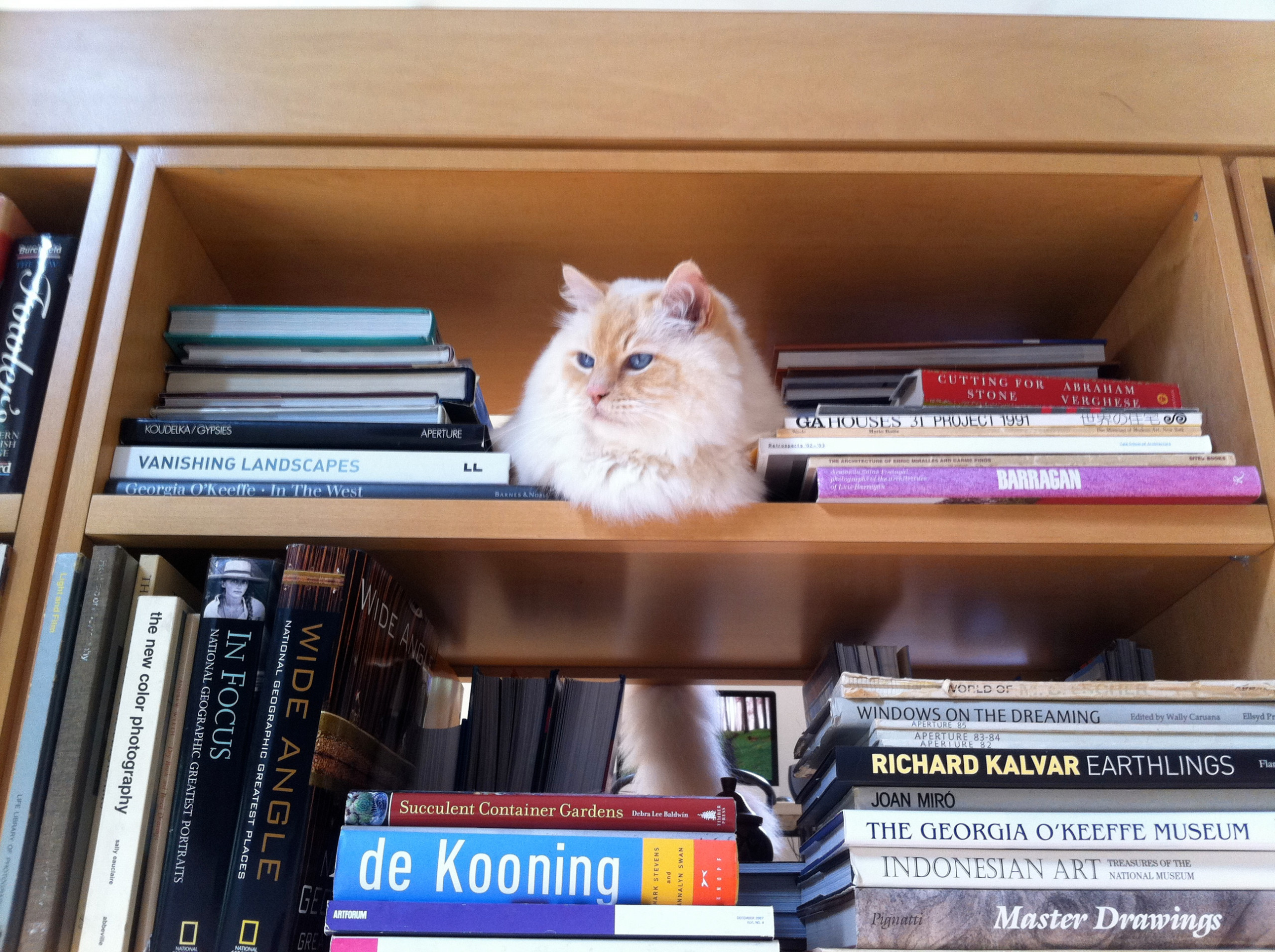 Хороший вопрос: Как жить в квартире, где идет ремонт