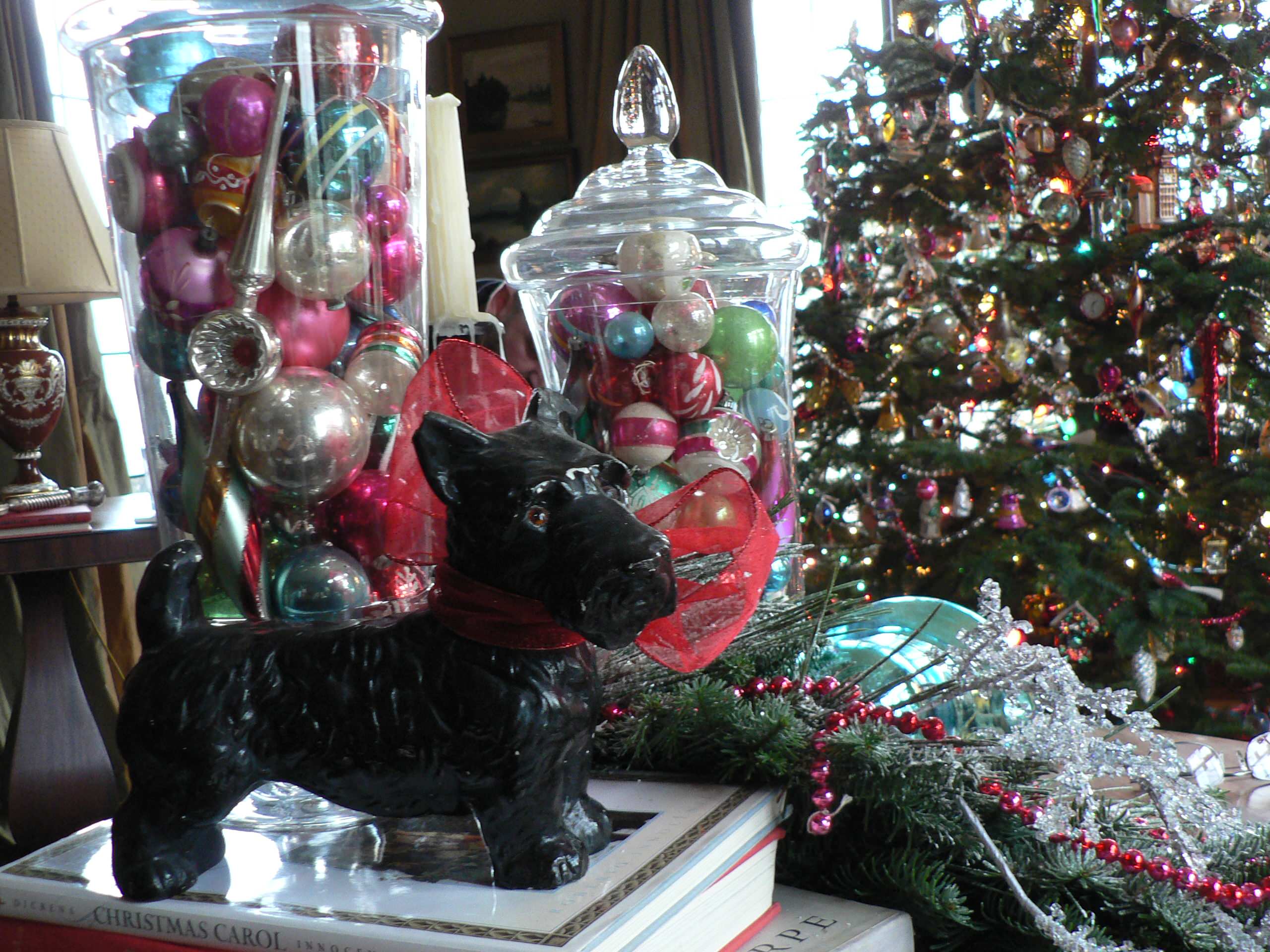 Новогодняя ель в горшке: Можно ли сохранить ее до весны