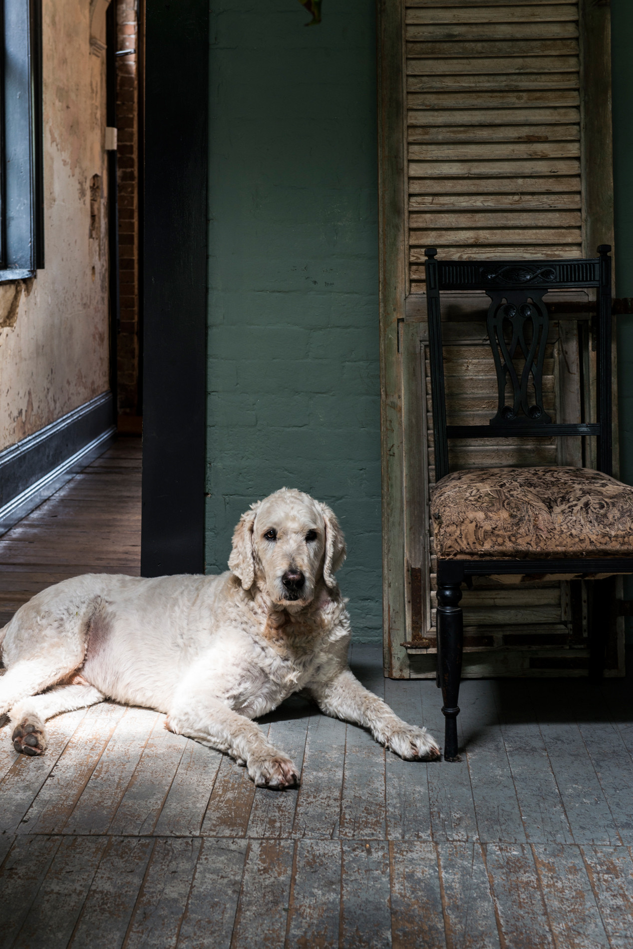 Личный опыт: Ремонт моей квартиры на Патриарших