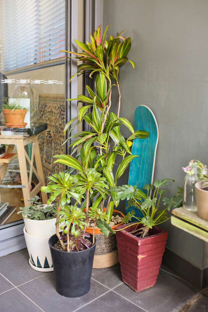 Мир дизайна: 10 открытий от тех, кто недавно переехал в свой первый дом