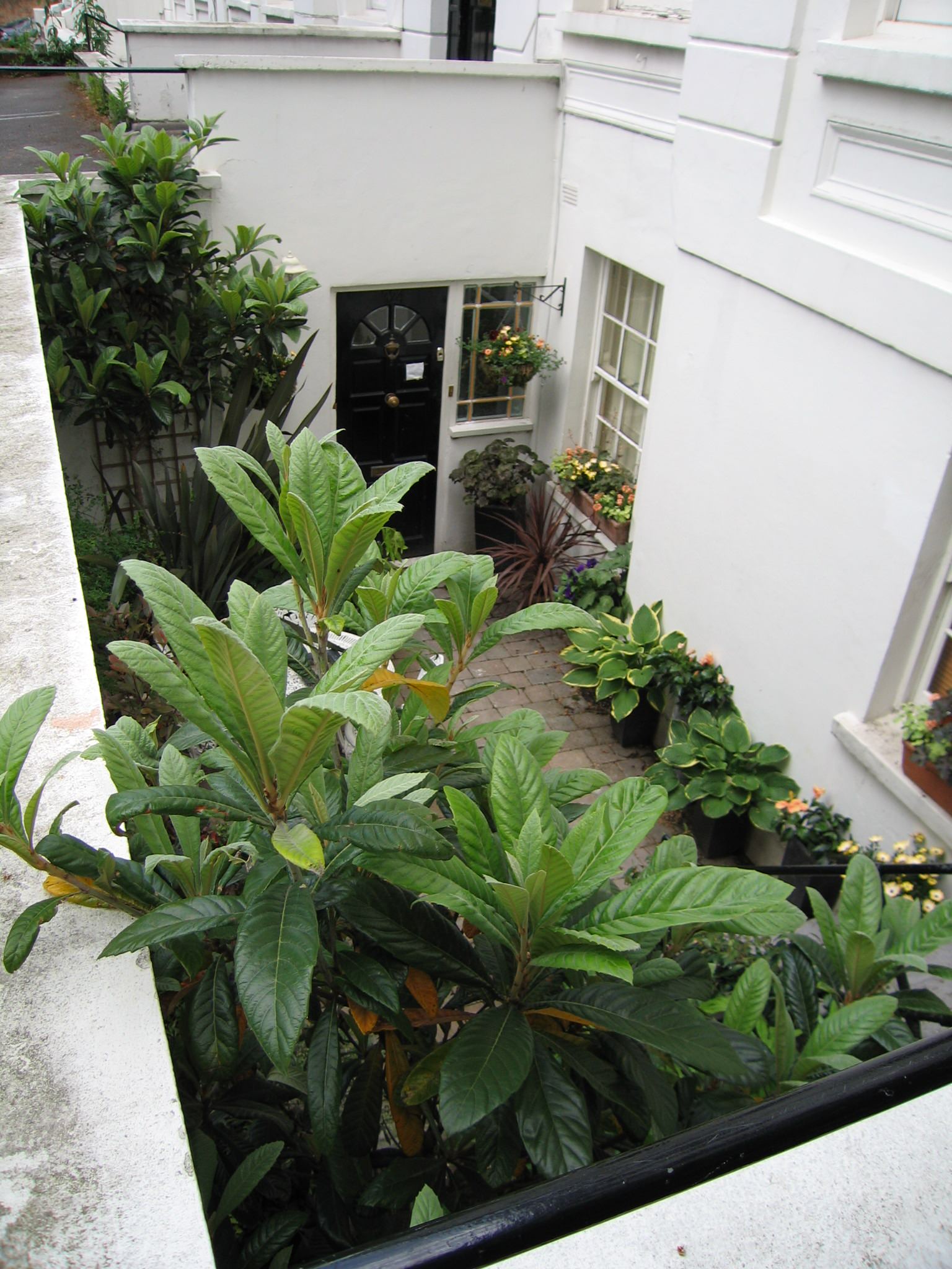 Делай, как дизайнер: Планируем маленький сад