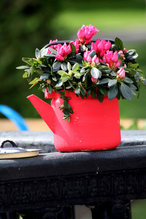 Что под руку попалось: Как не загубить растения в арт-кашпо