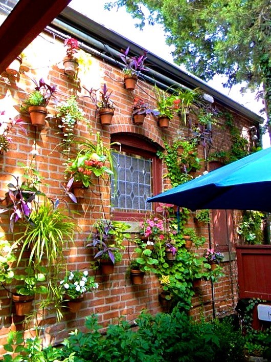 Вертикальная клумба: Полное руководство для начинающих и продолжающих