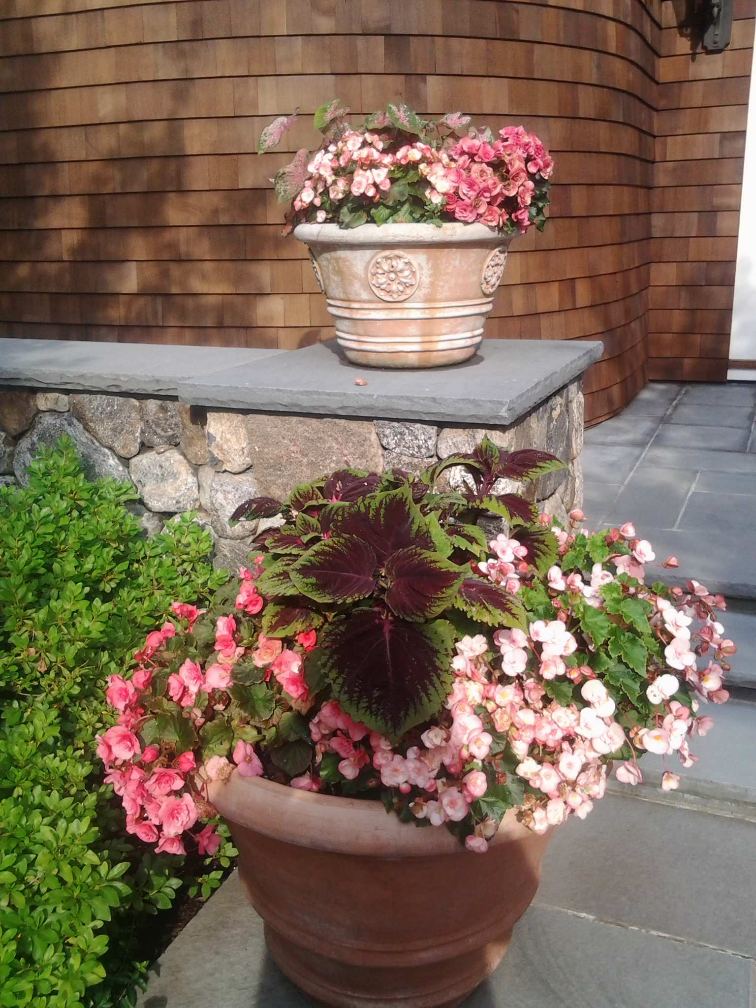 Сад в контейнере: 11 эффектных композиций для вашего балкона