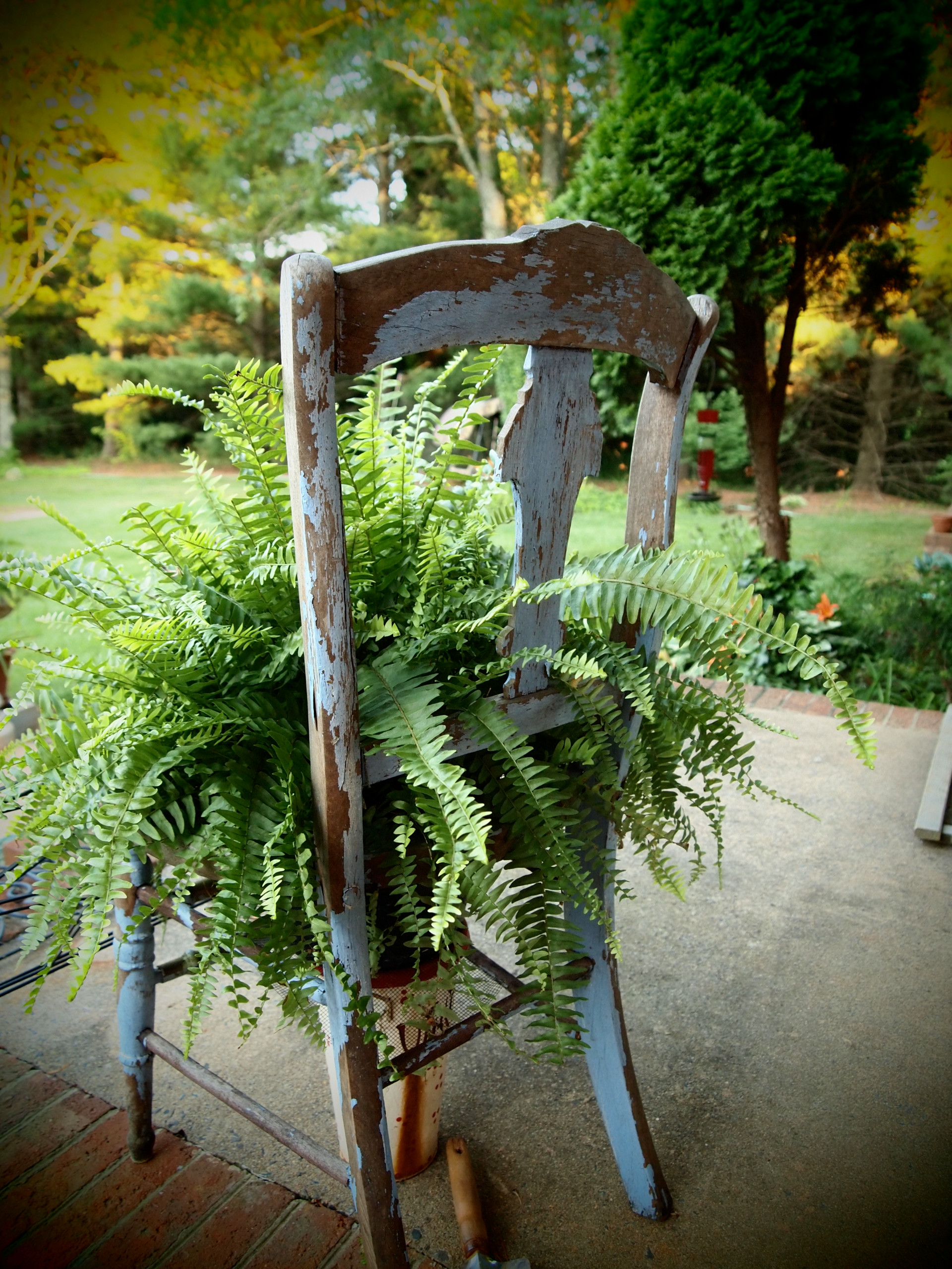 Что под руку попалось: Как не загубить растения в арт-кашпо