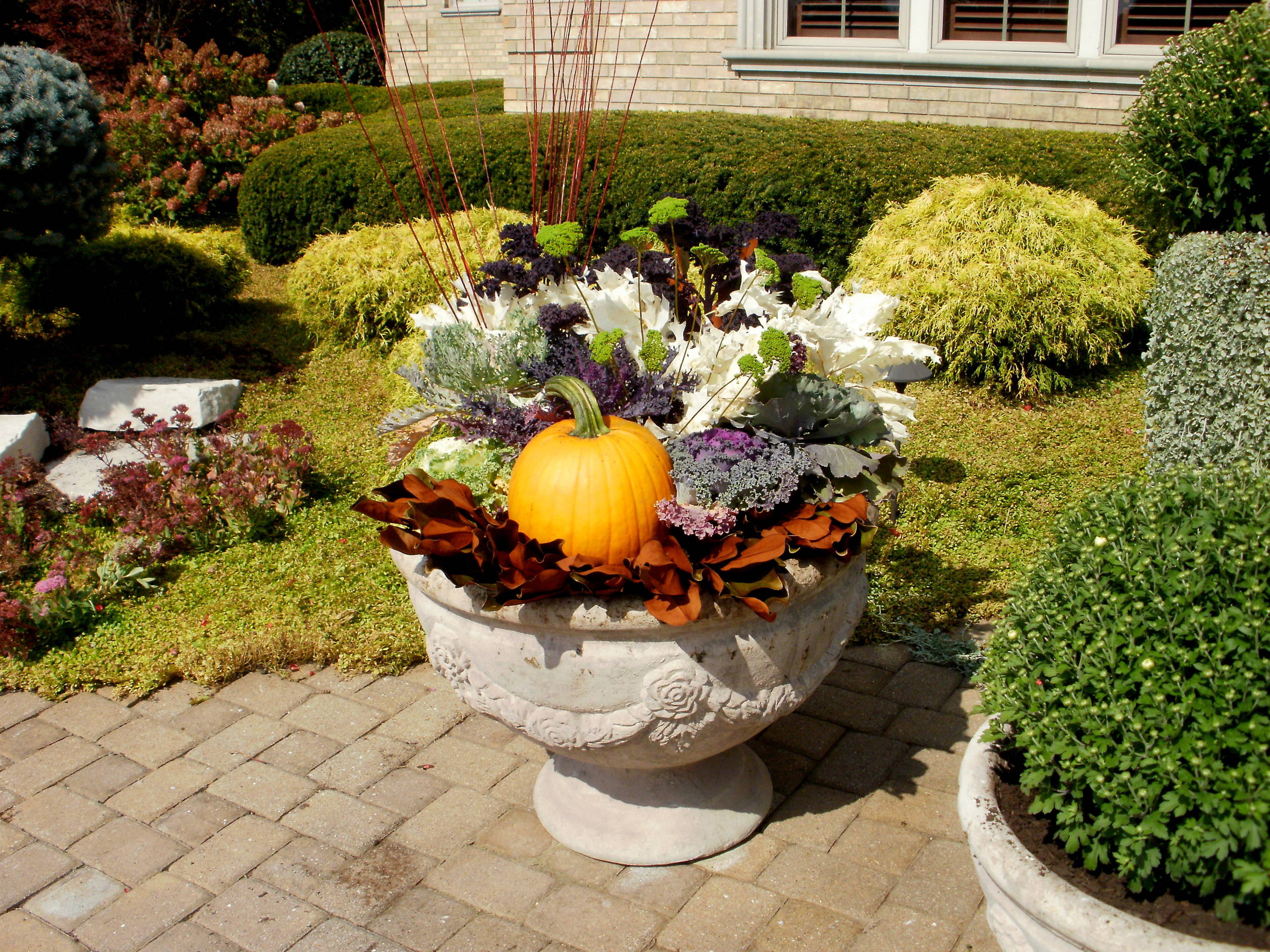 Как правильно: Горшечный сад осенью — проводим апгрейд