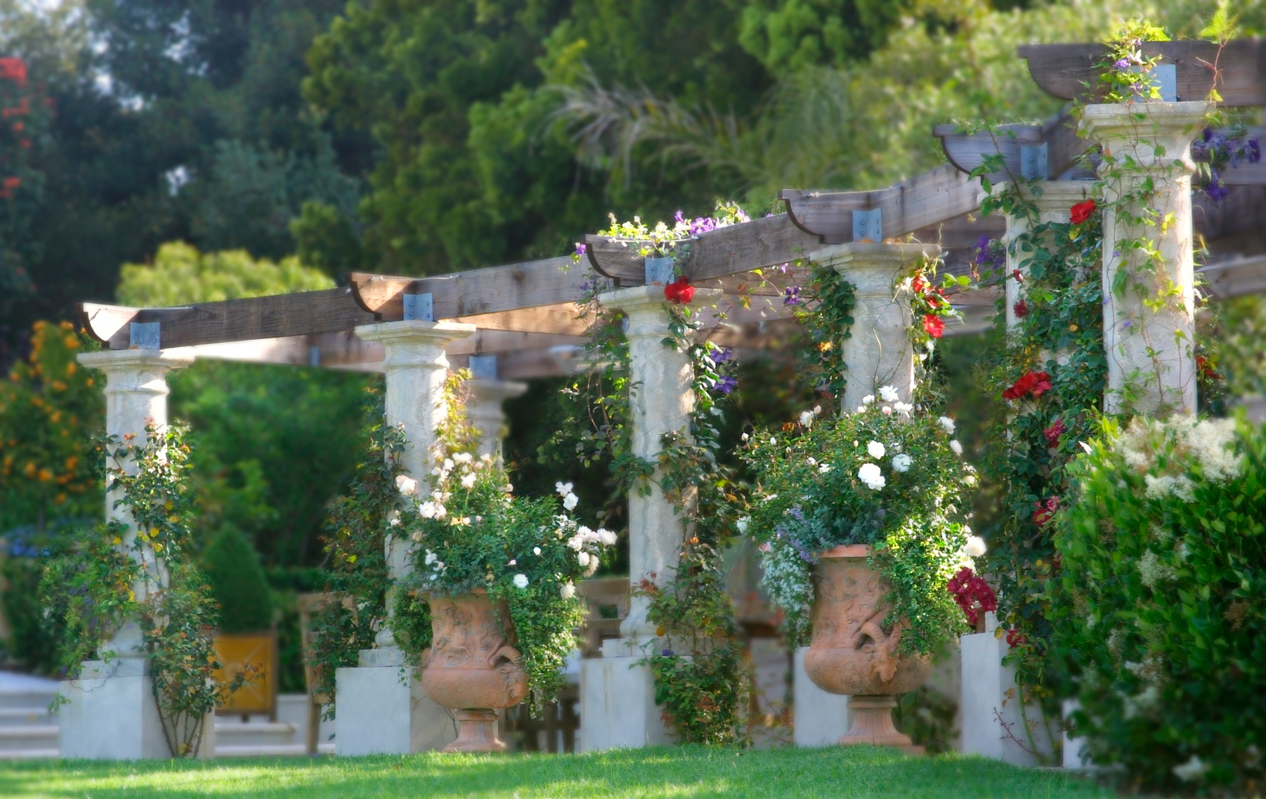 Высший уровень: Как использовать принцип ярусности в посадках