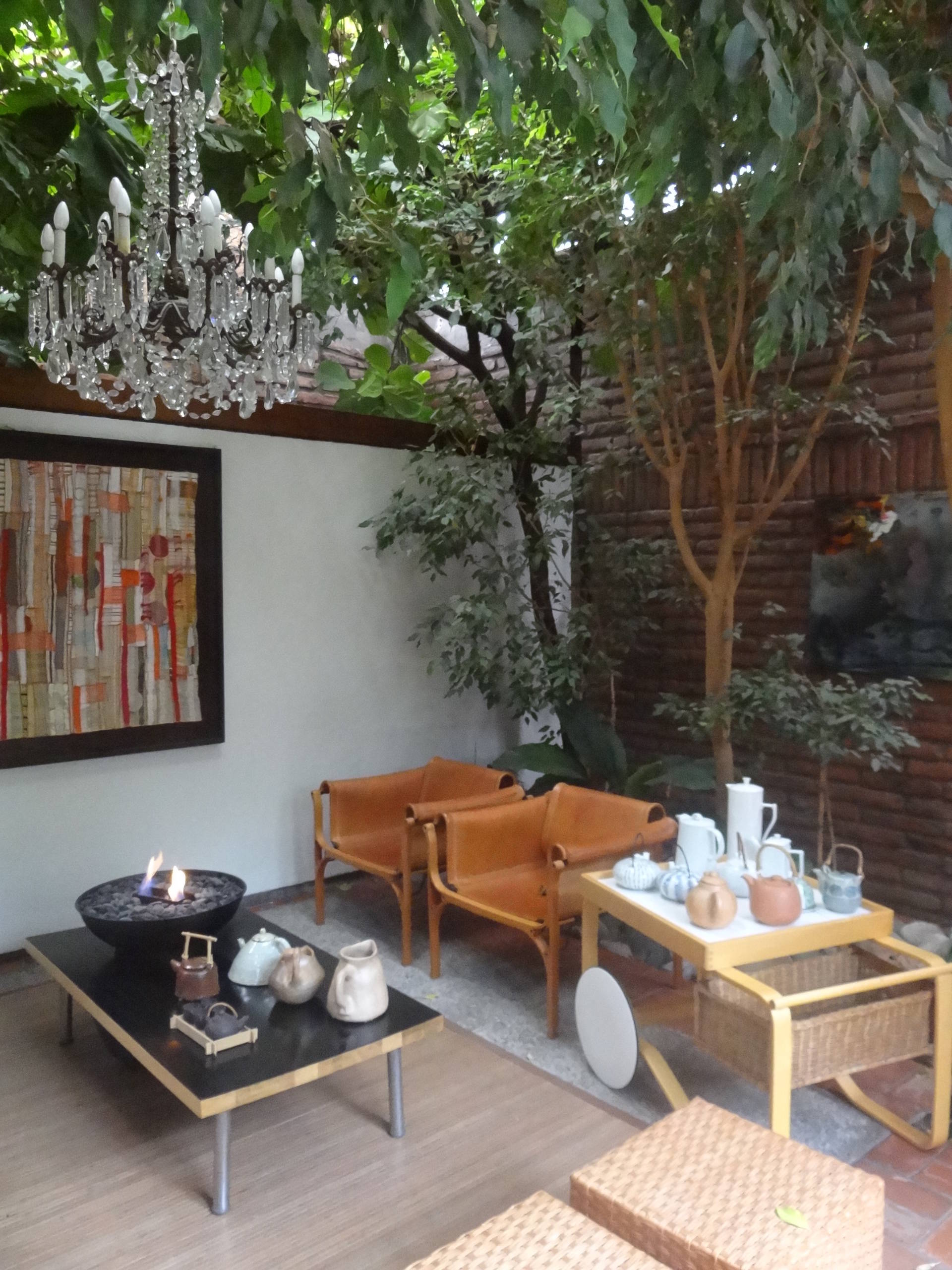 Архитектура: Как ужиться с растущим в доме деревом