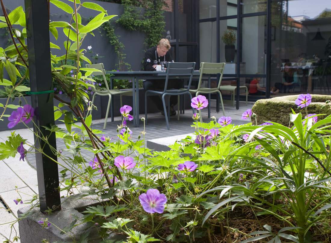 Ленивый сад: 17 советов, которые сэкономят вам силы