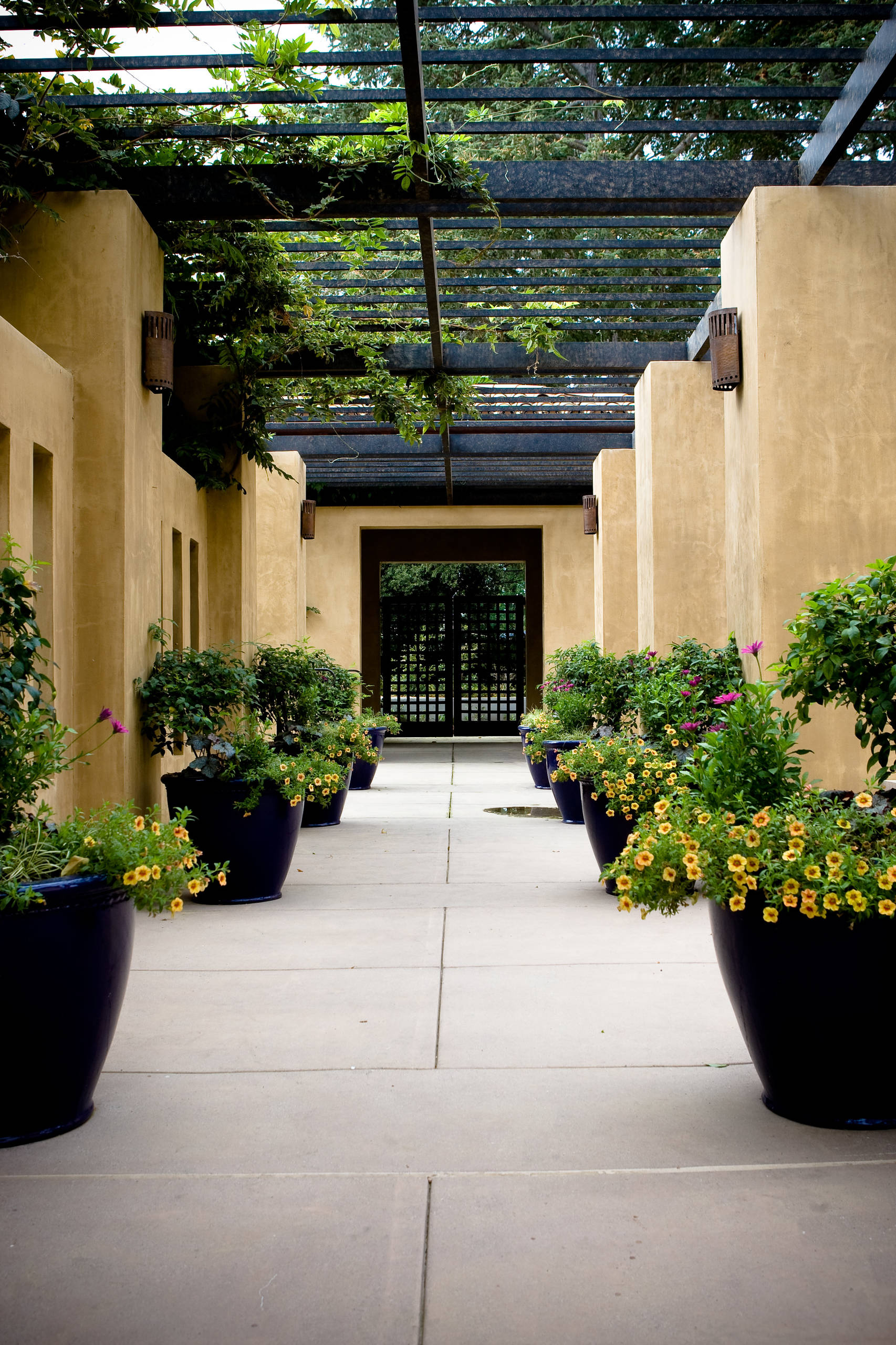 Живописное ущелье: Дизайн-решения для узких мест на участке