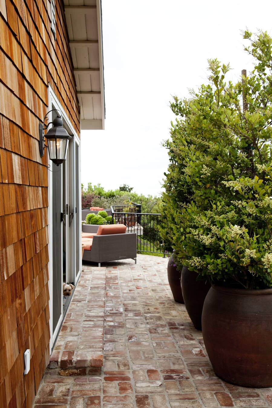 Хороший вопрос: Сколько растений нужно для красивого сада