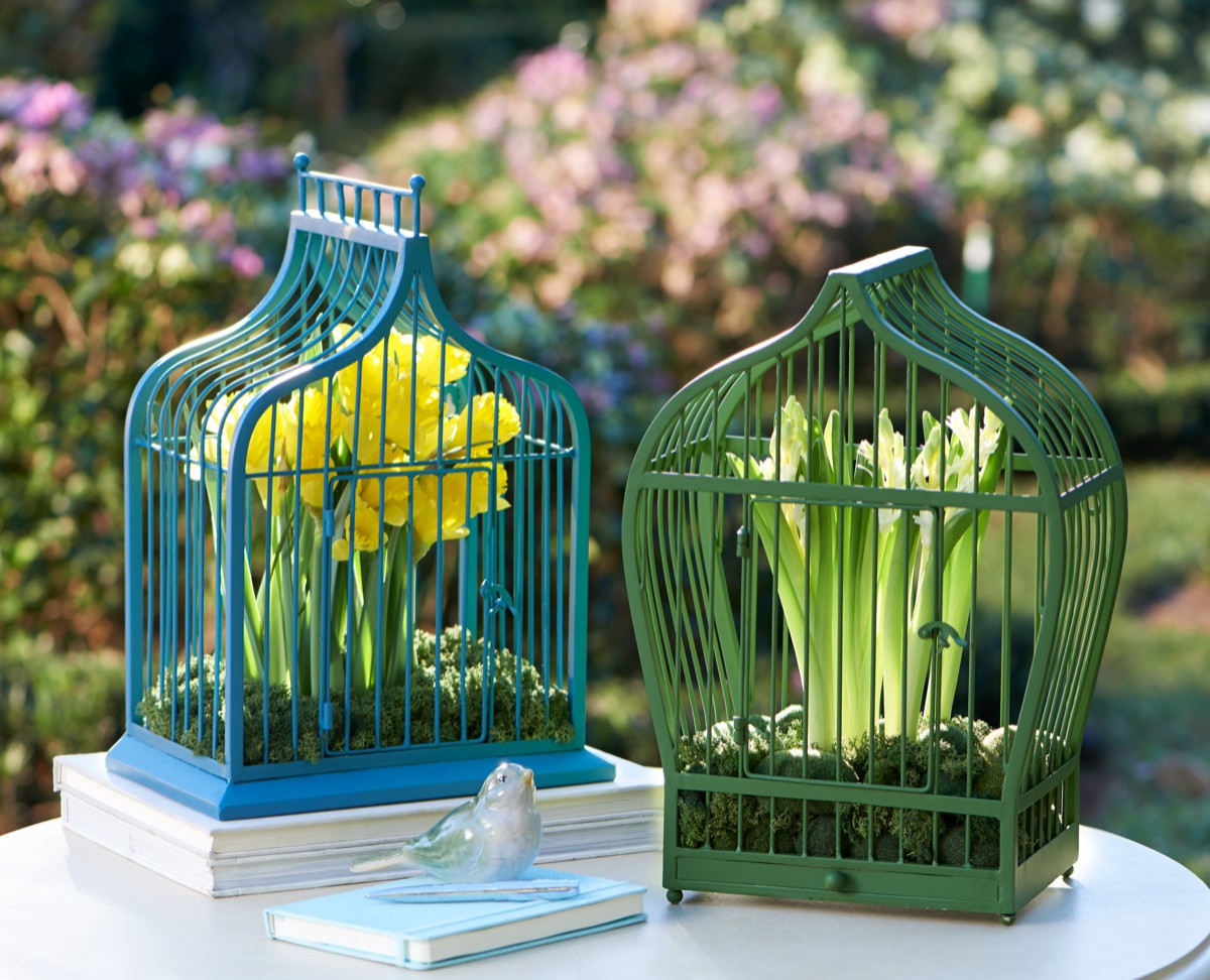 Что под руку попалось: Как не загубить растения в арт-кашпо