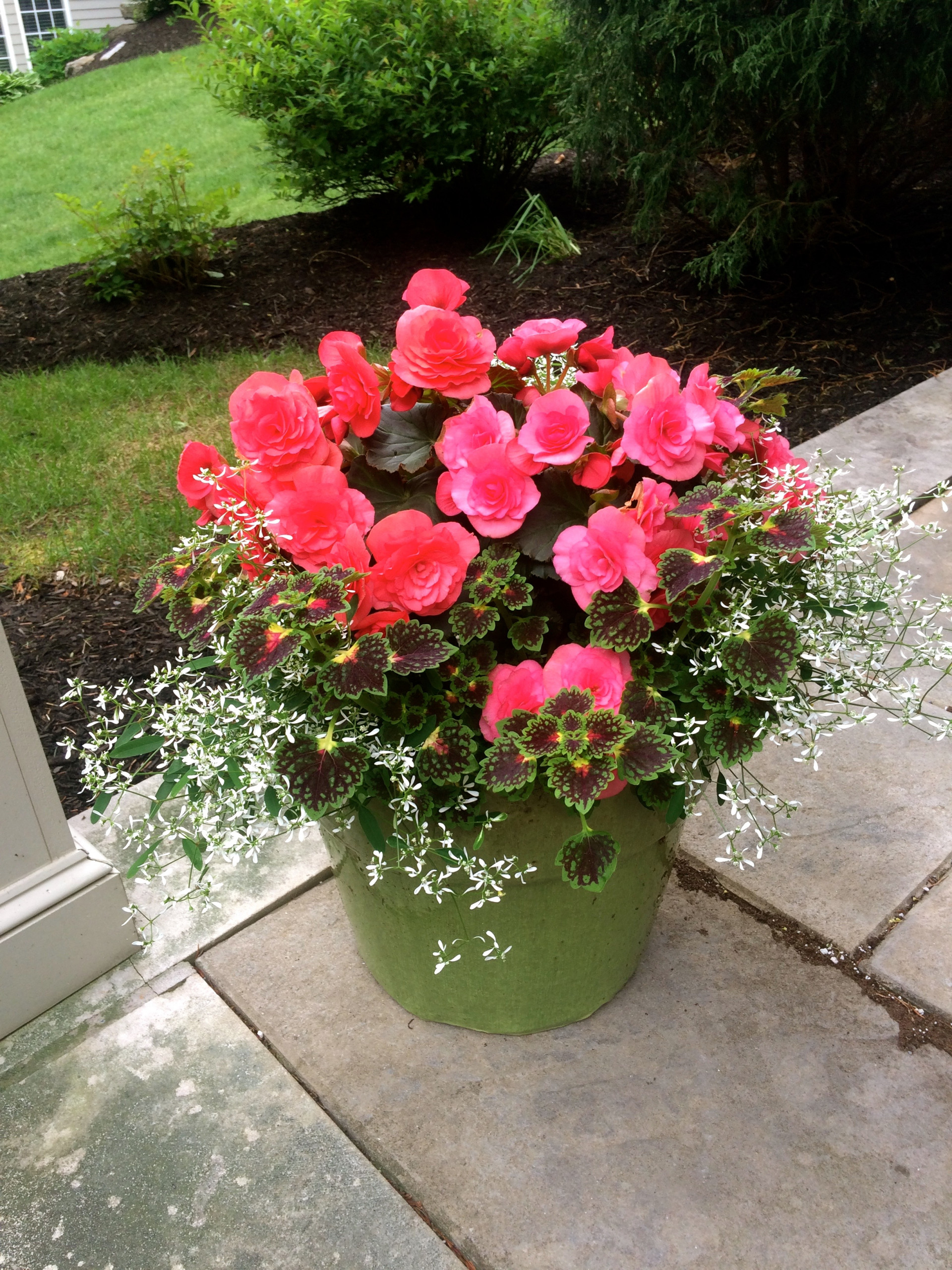 Как правильно: Сделать горшечный сад в середине лета