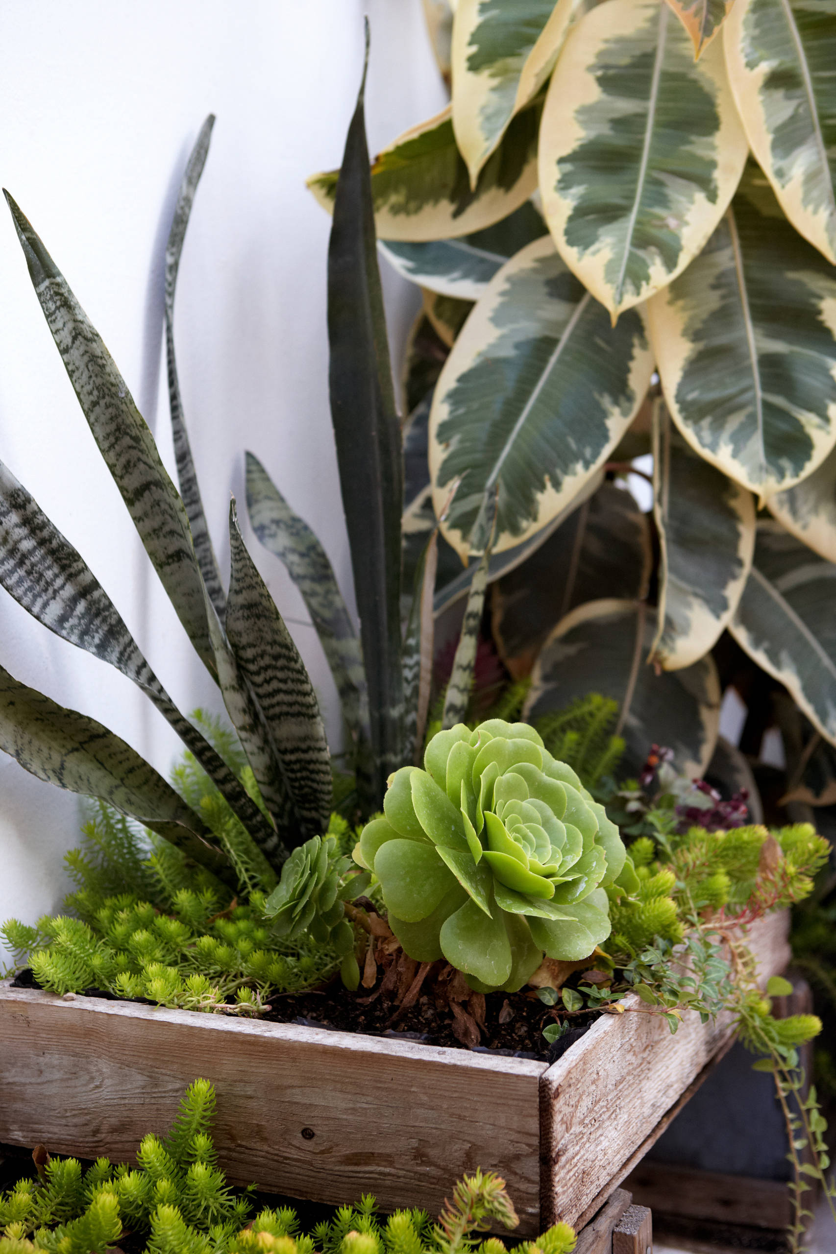 Как сделать воздух в квартире более чистым и свежим, не покупая технику