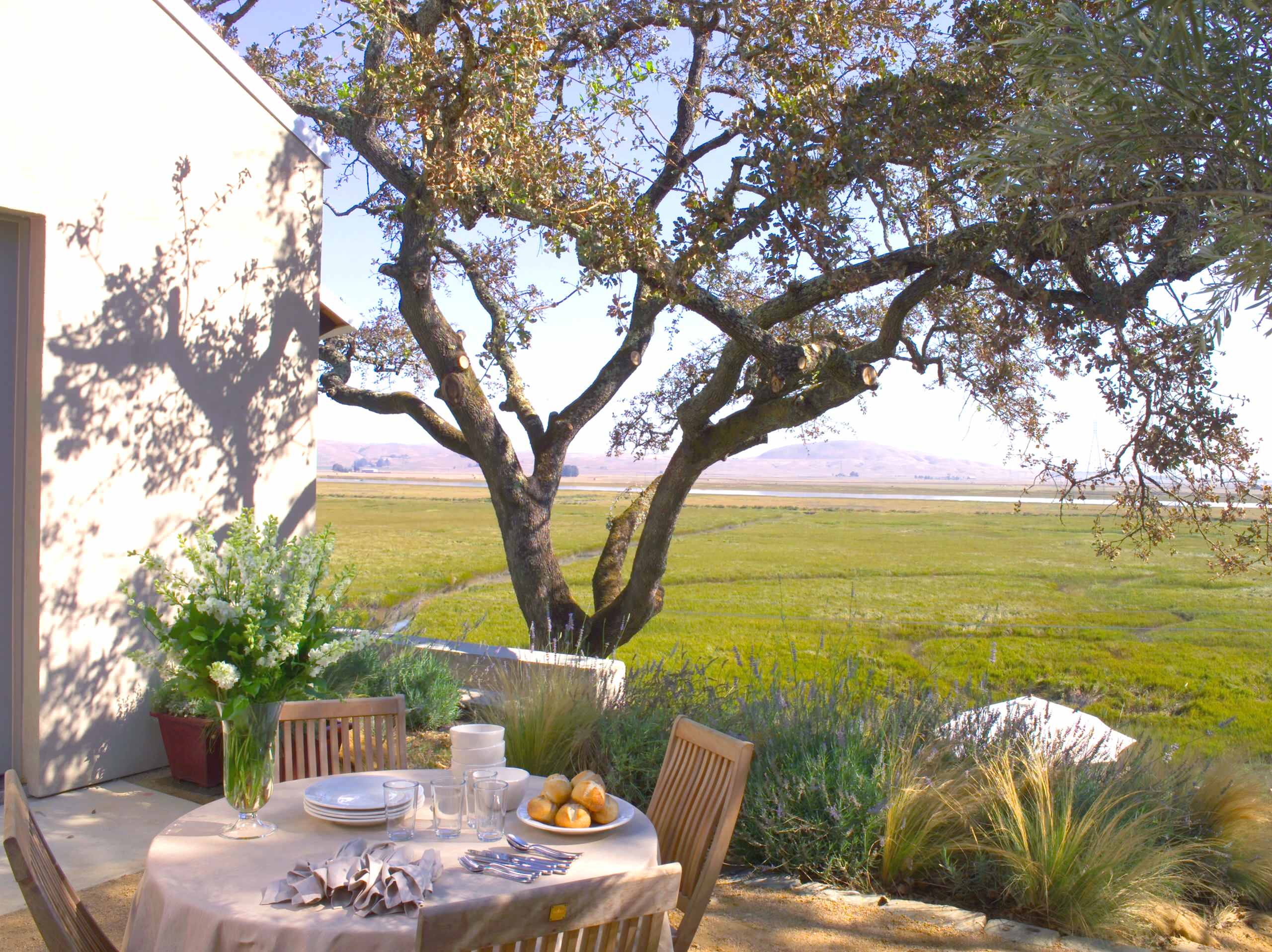 Фотоохота: Место для завтрака на воздухе — 23 примера