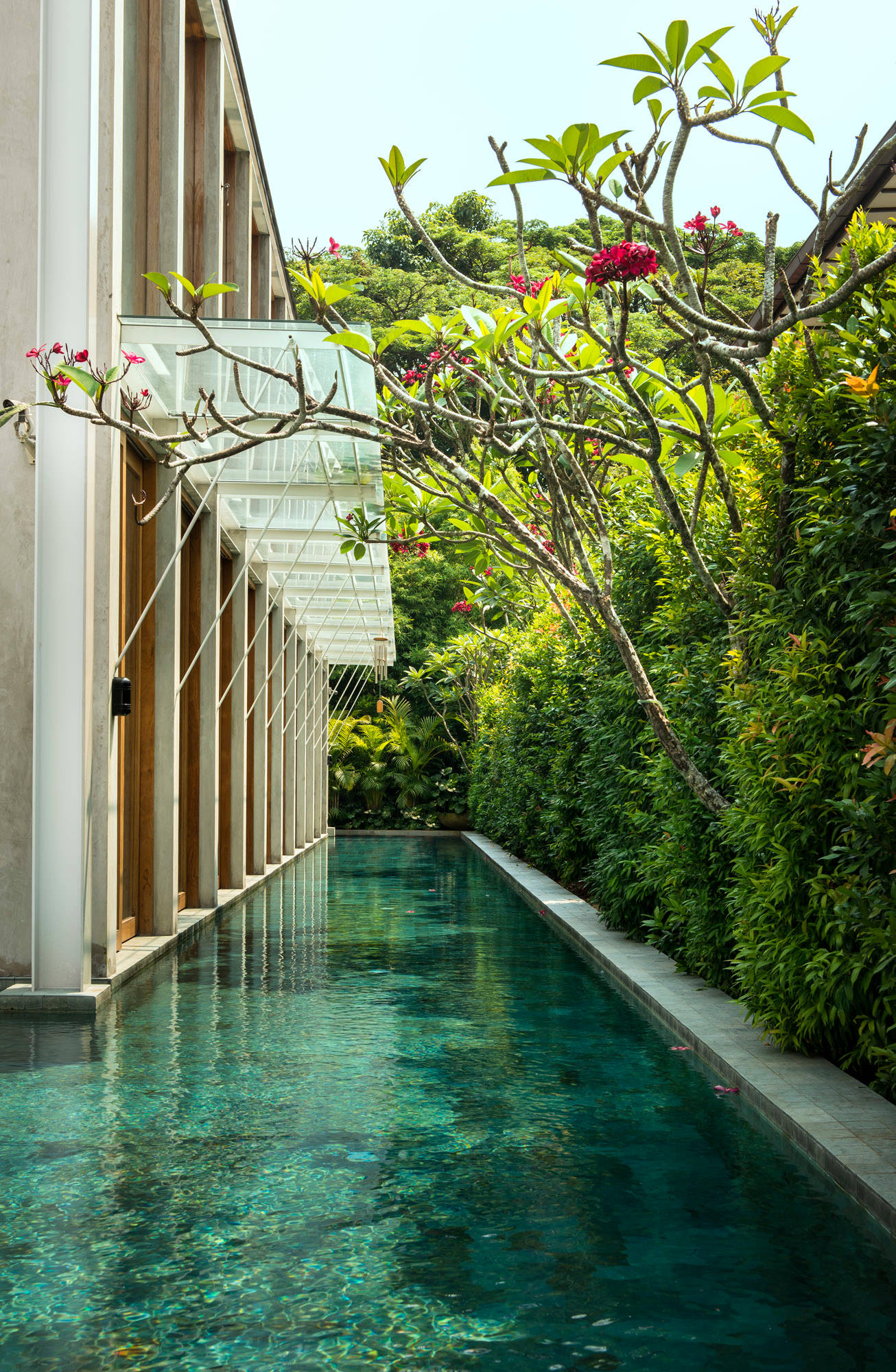 Фотоохота: 90 вдохновляющих домов из Сингапура на Houzz