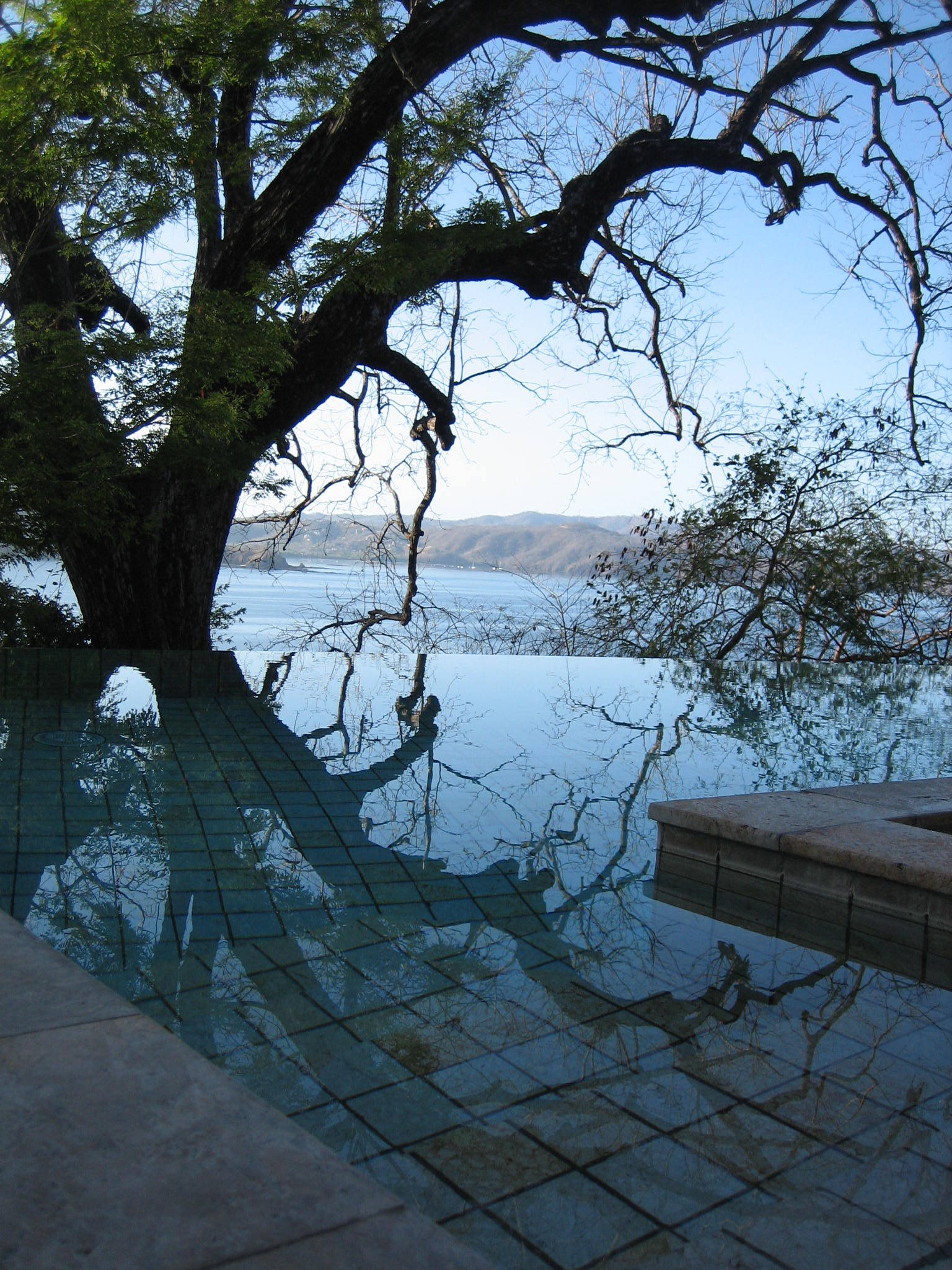 Свой круг: Как оформить приствольные круги деревьев