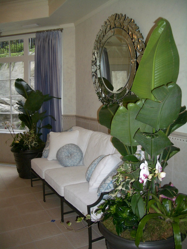 Вот и лето прошло: Что делать с растениями и уличными кашпо по осени