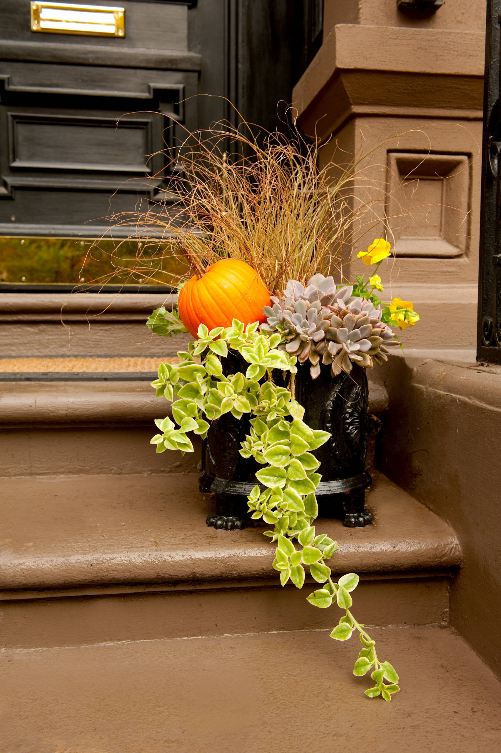 Фотоохота: 45 идей осенних кашпо