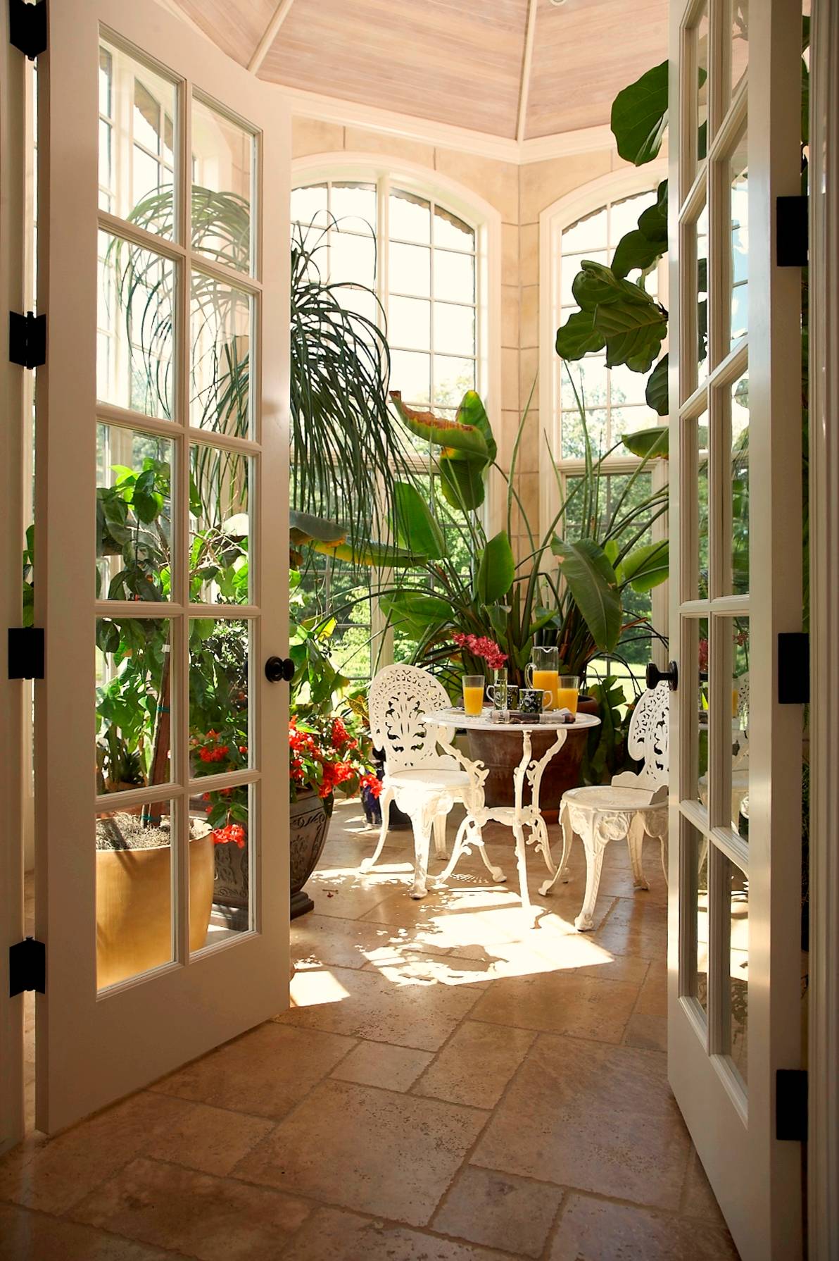 Жизнь в тепличных условиях: Современное применение оранжерей