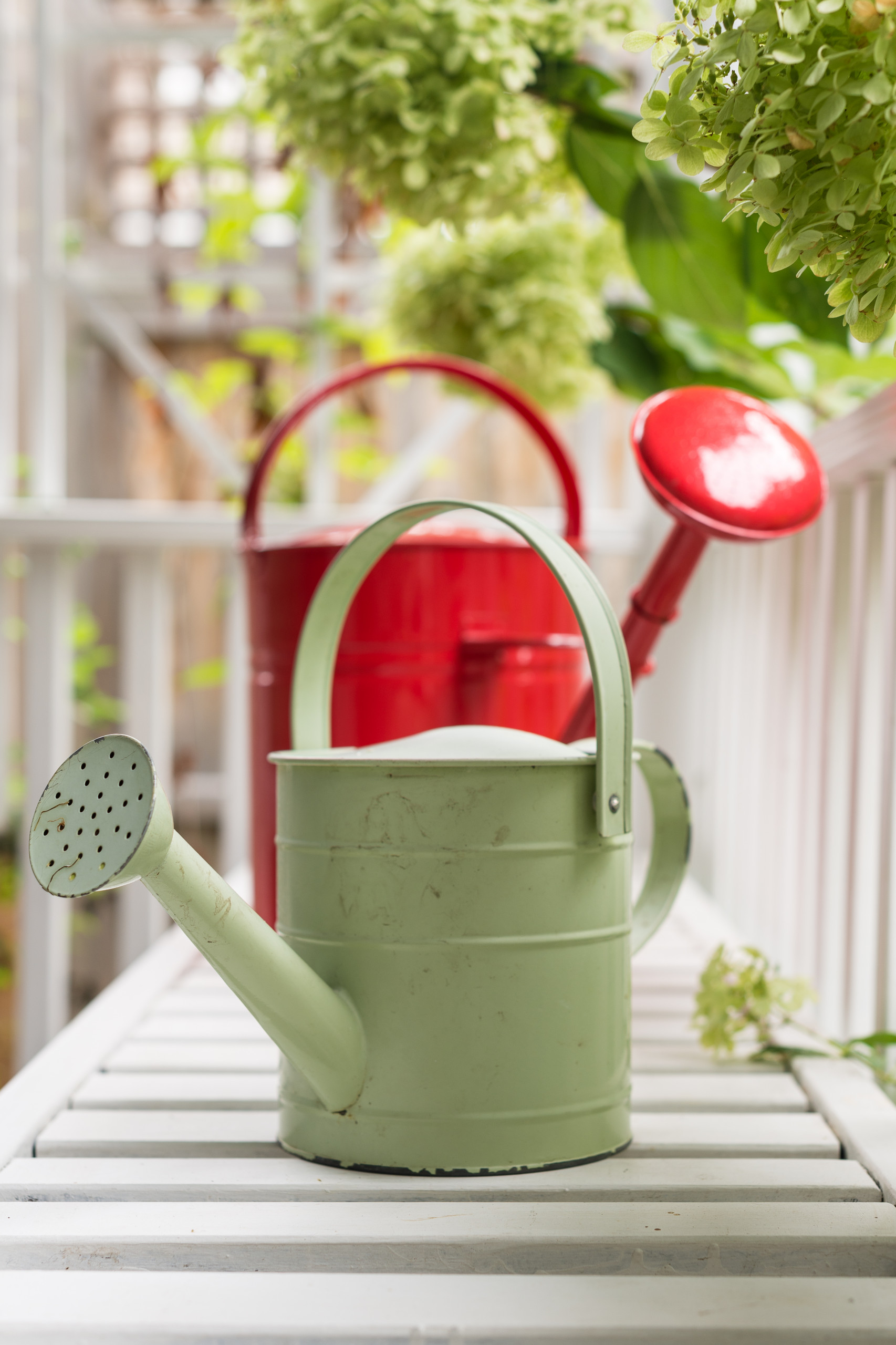 Как правильно: Организовать сбор дождевой воды