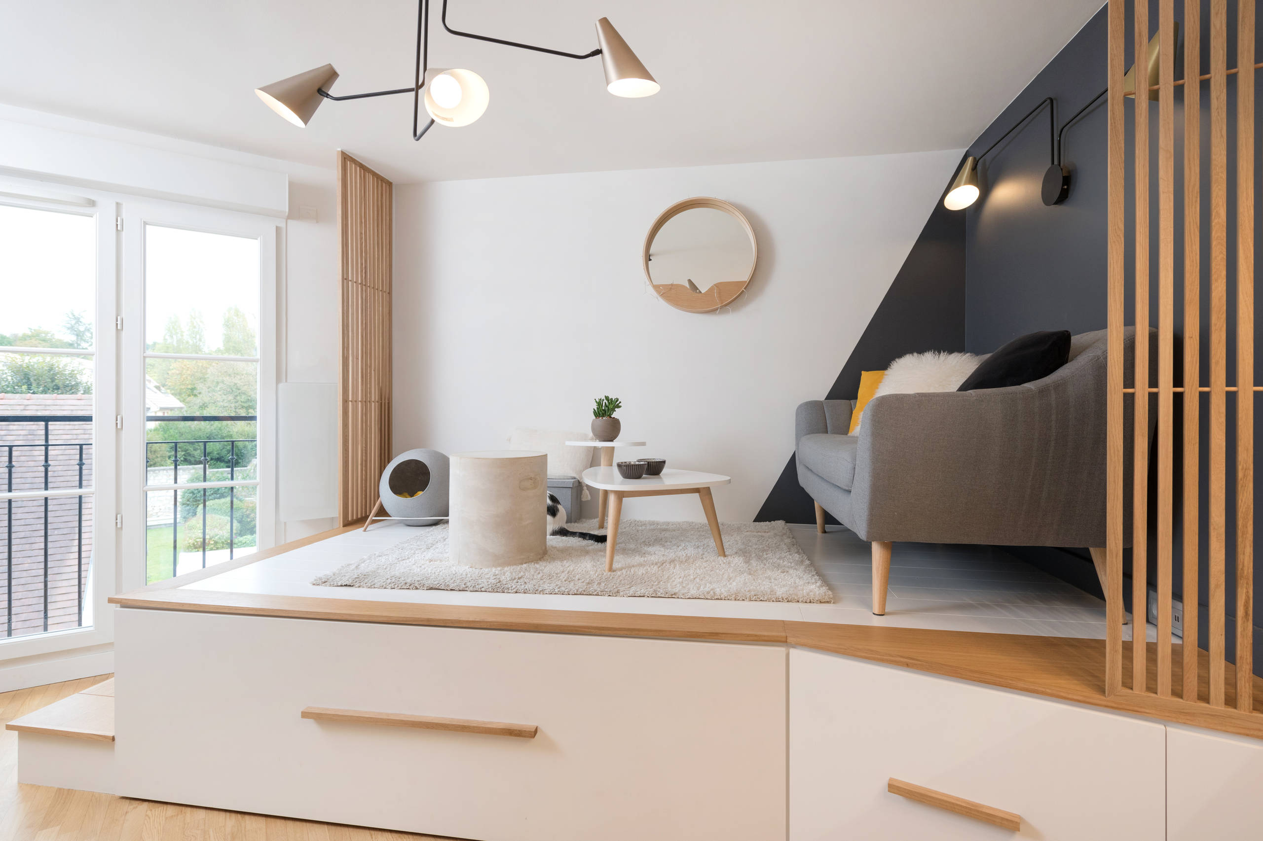 До и после: Французская студия 20 кв.м для девушки и кошки