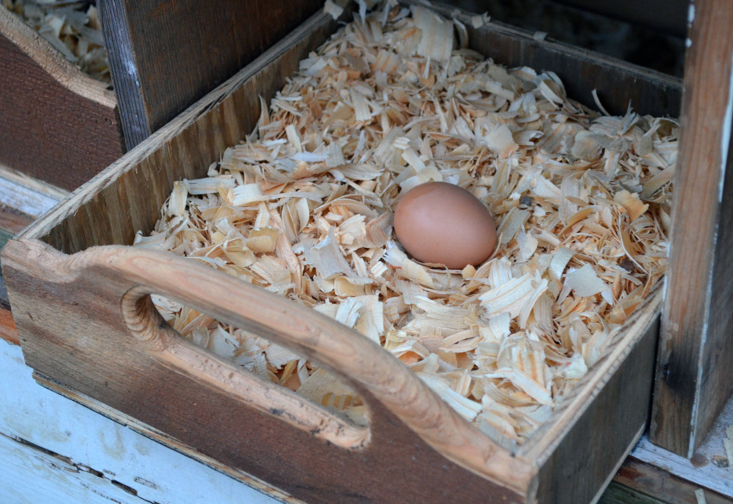 Микротренд: Не дадим еде пропасть