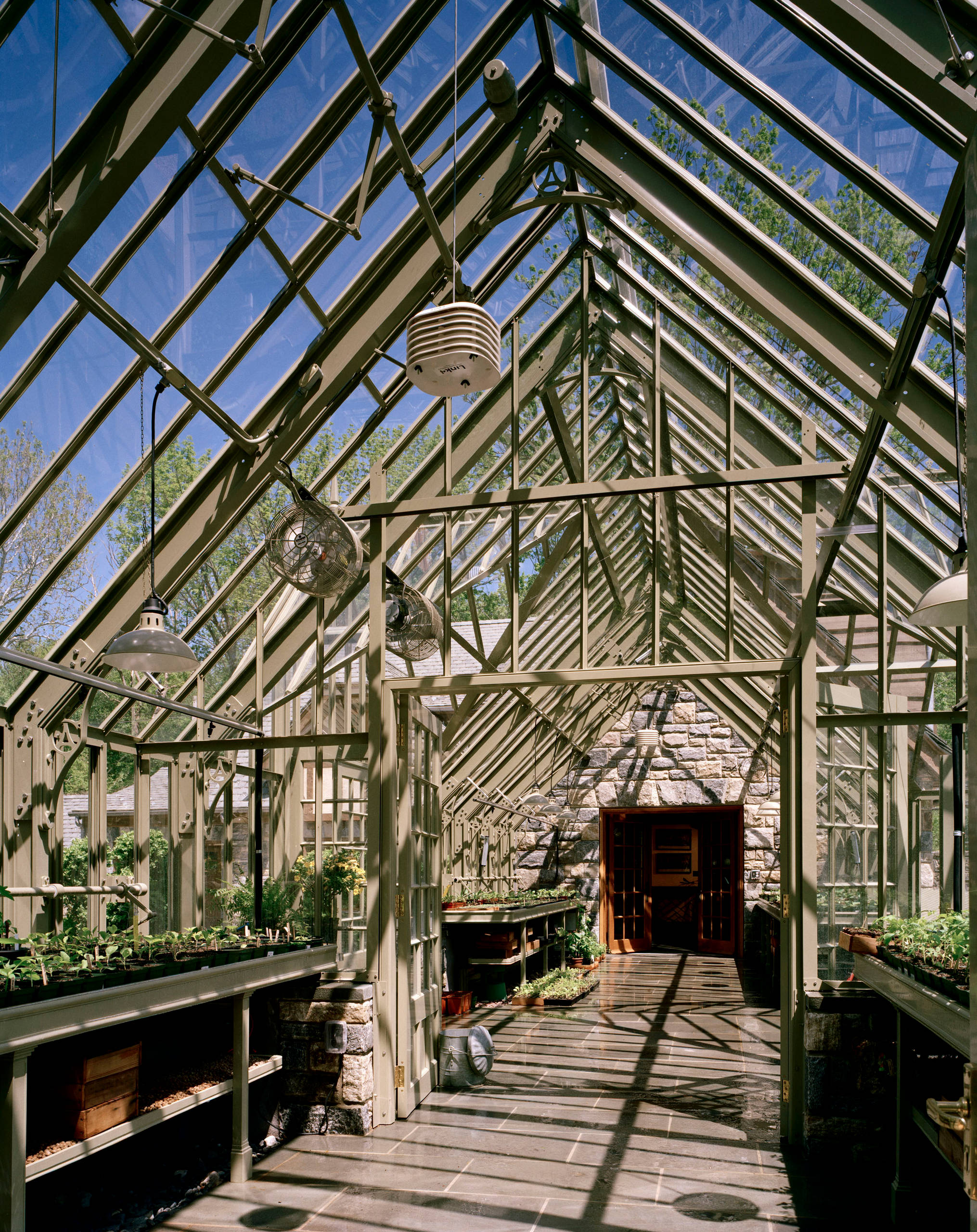 Весна идет: Основные правила выращивания рассады