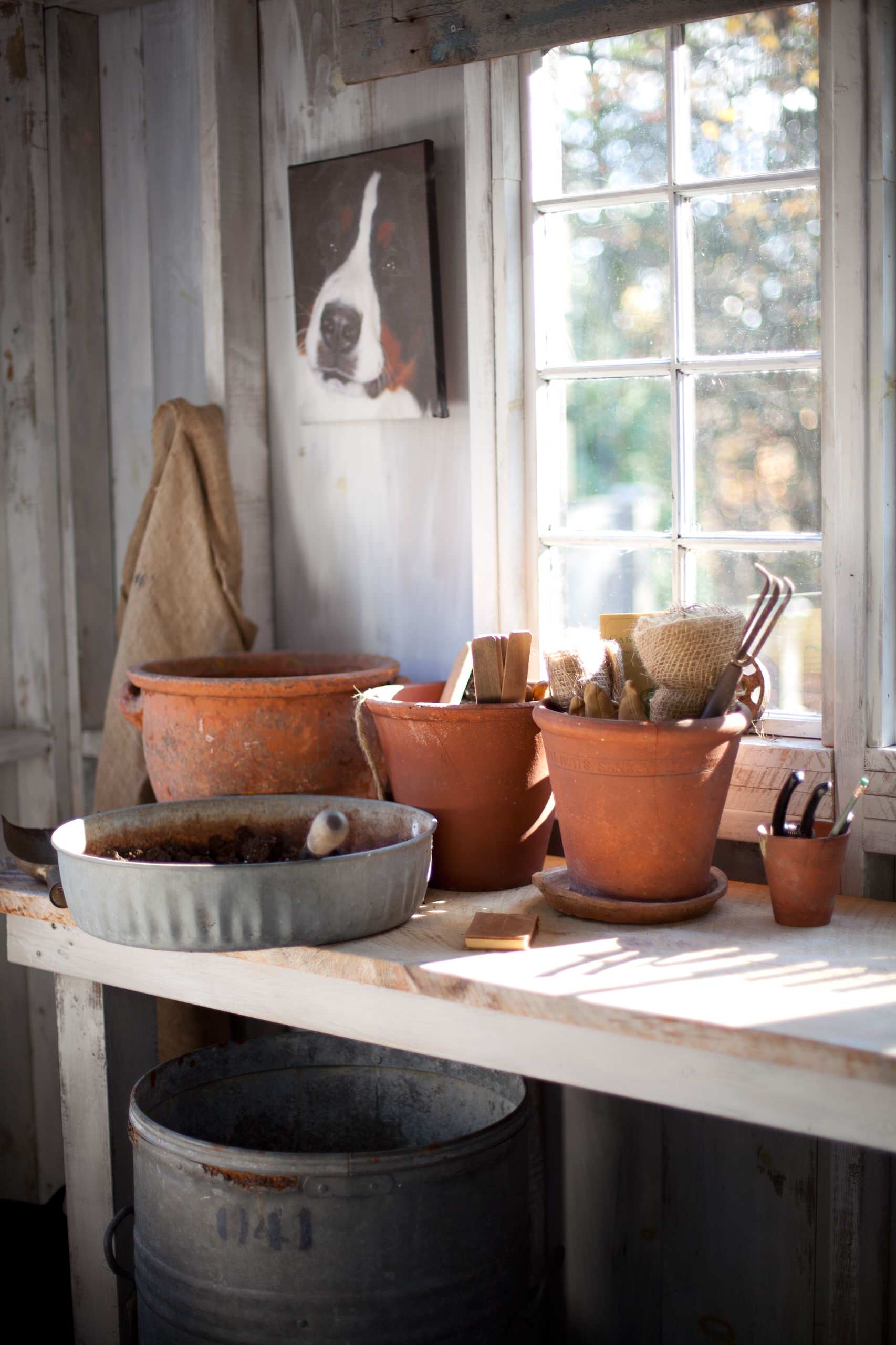 Дневник садовода: Зачем его вести и как