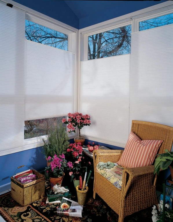 Расцветайте, фуксии и розы: что посадить на балконе мечты