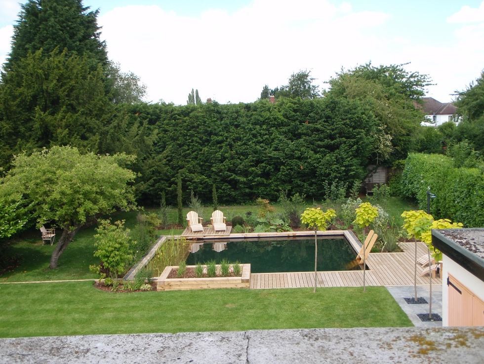 Фотоохота: 20 идей для природного бассейна [чистится растениями]