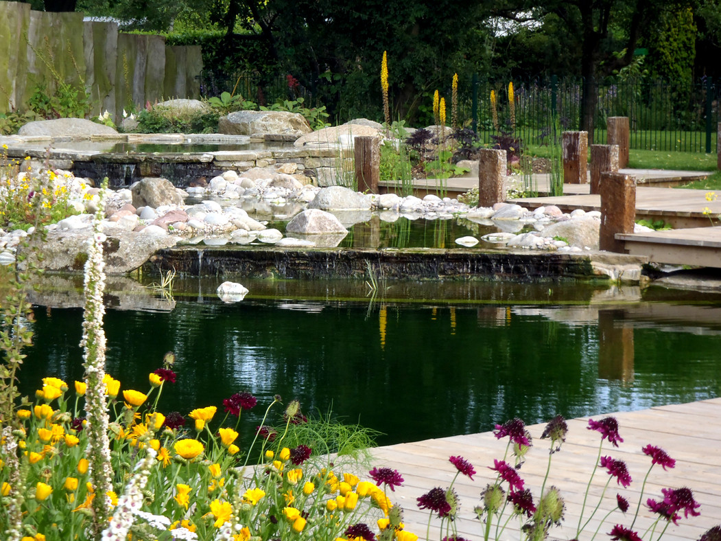 Фотоохота: 20 идей для природного бассейна [чистится растениями]