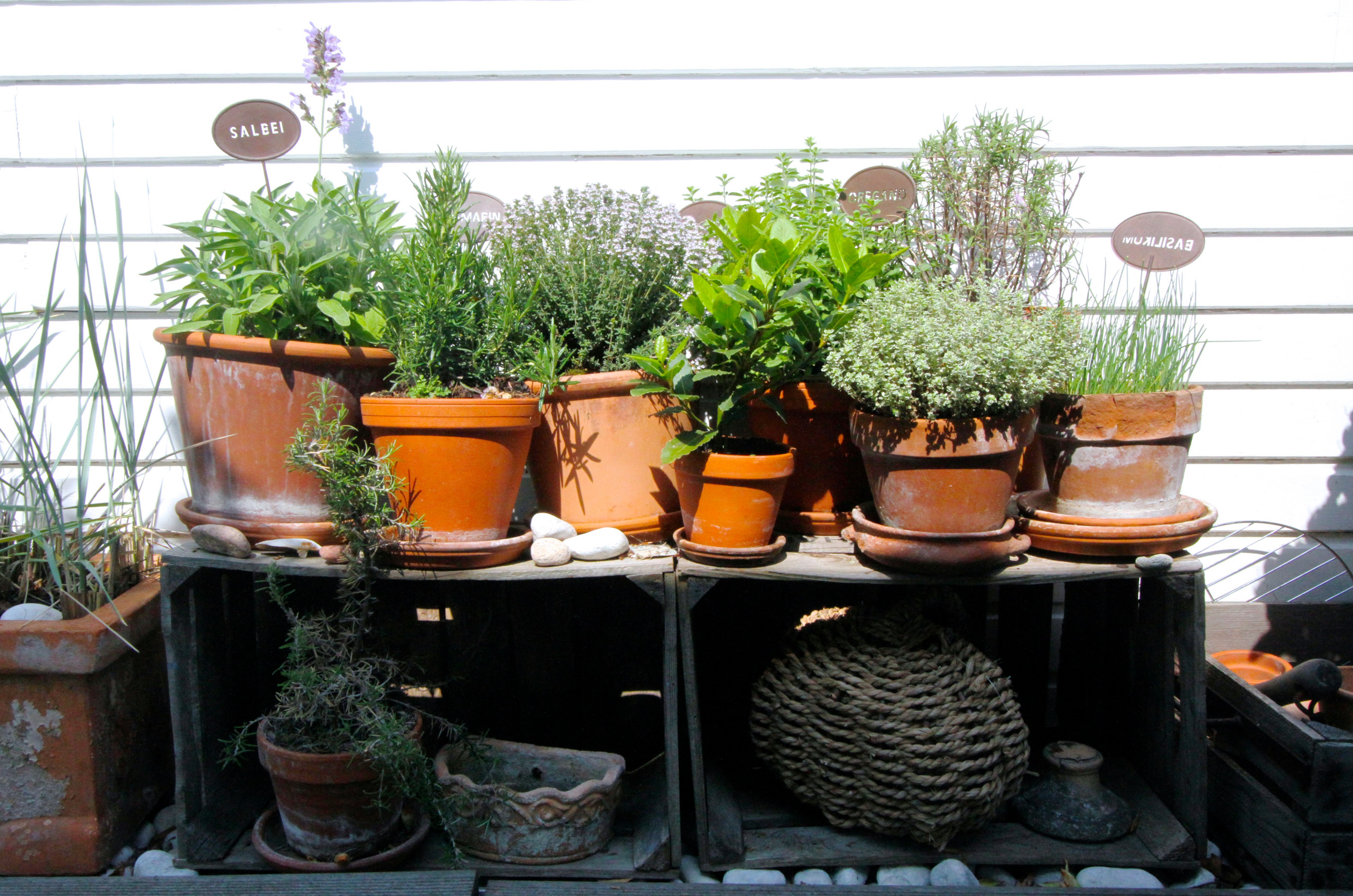 Houzz Германия: Цветущий сад на крыше в Берлине