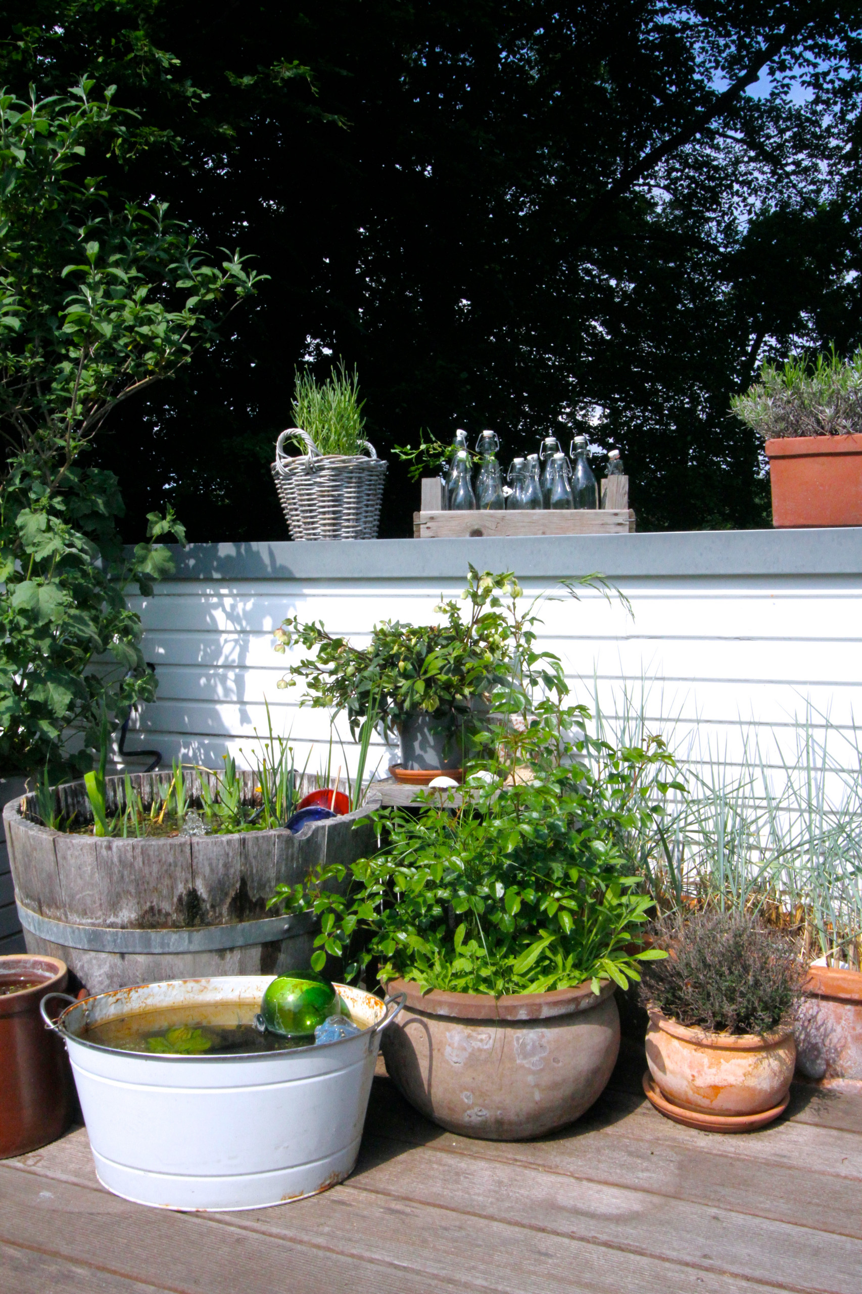 Houzz Германия: Цветущий сад на крыше в Берлине