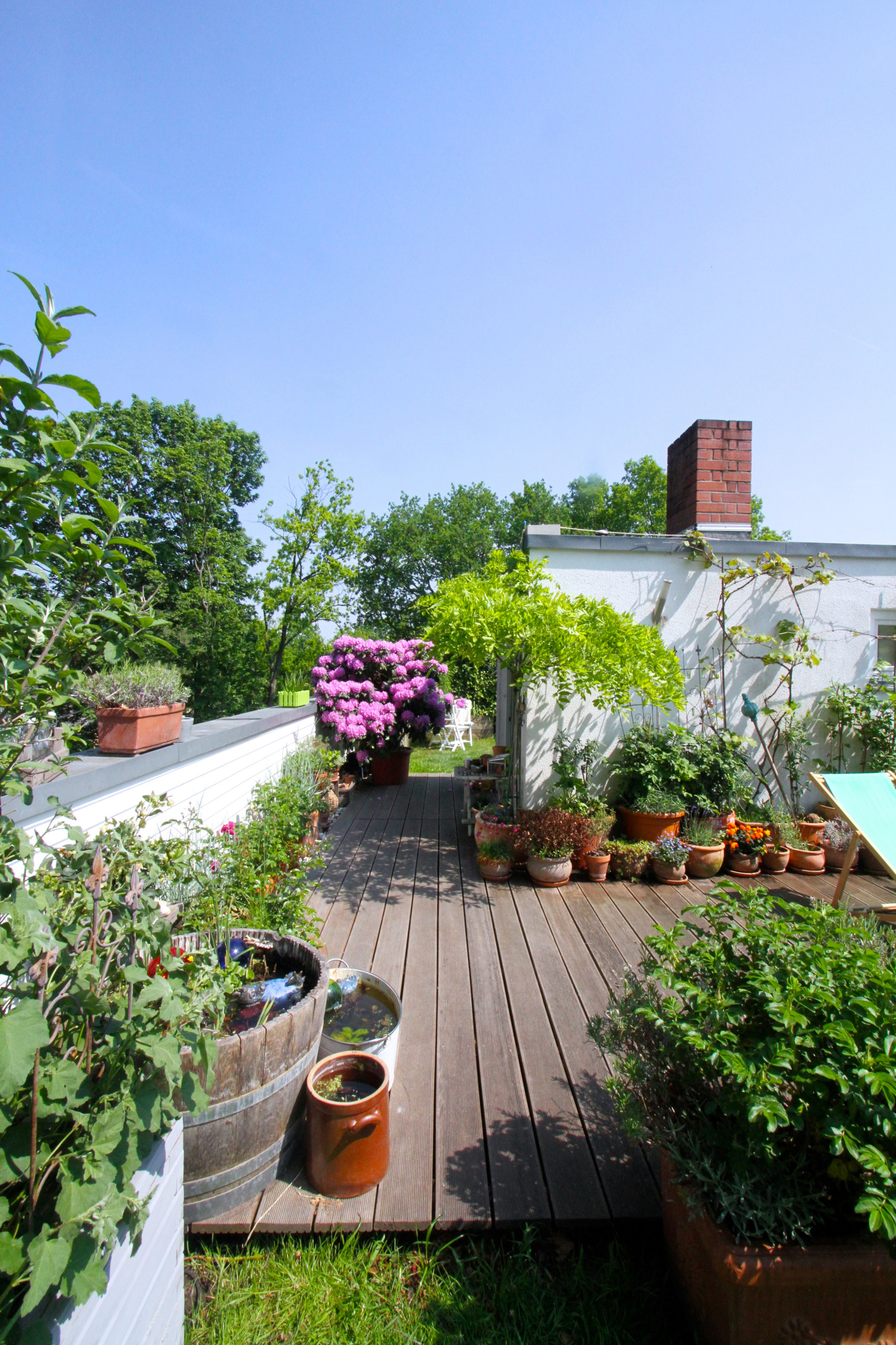 Мнение: Будущее городского озеленения