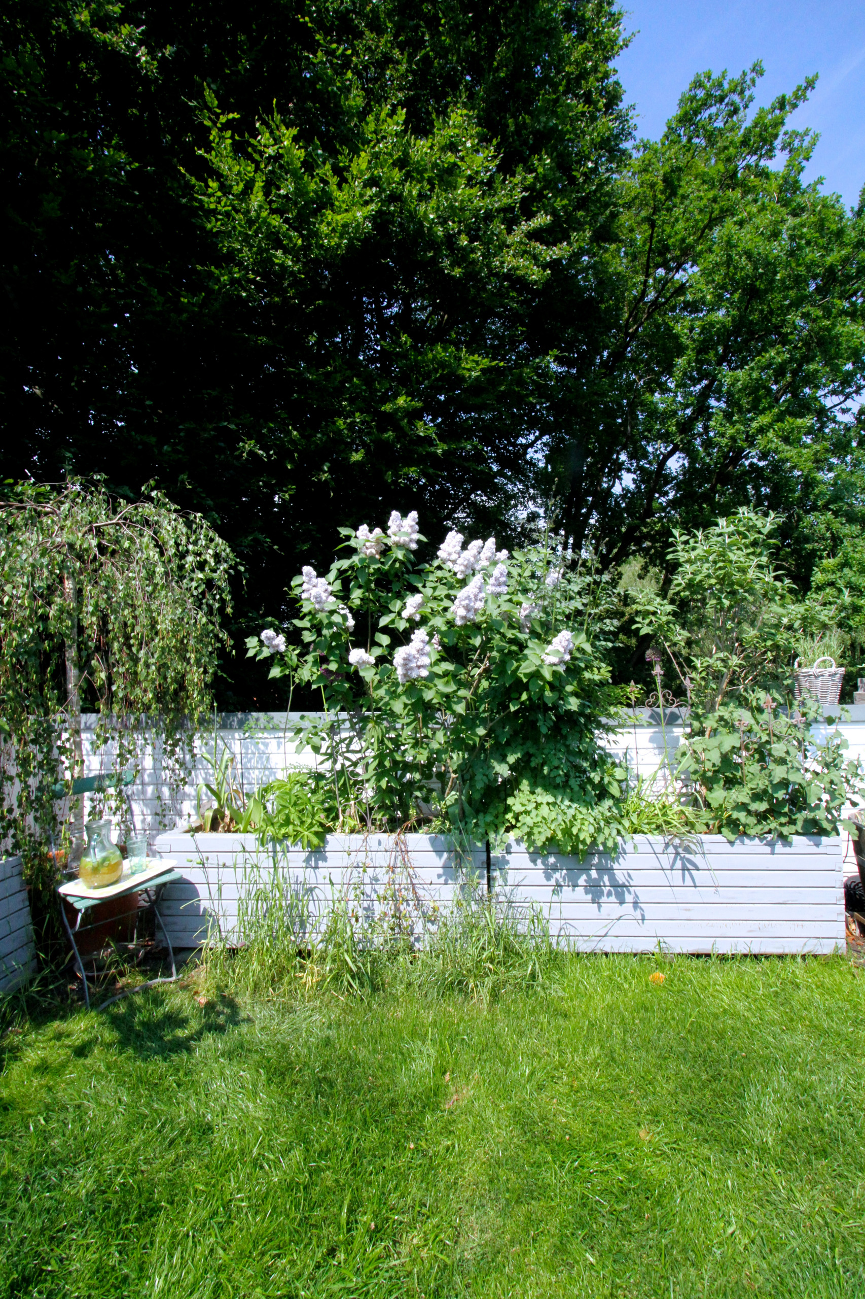 Houzz Германия: Цветущий сад на крыше в Берлине