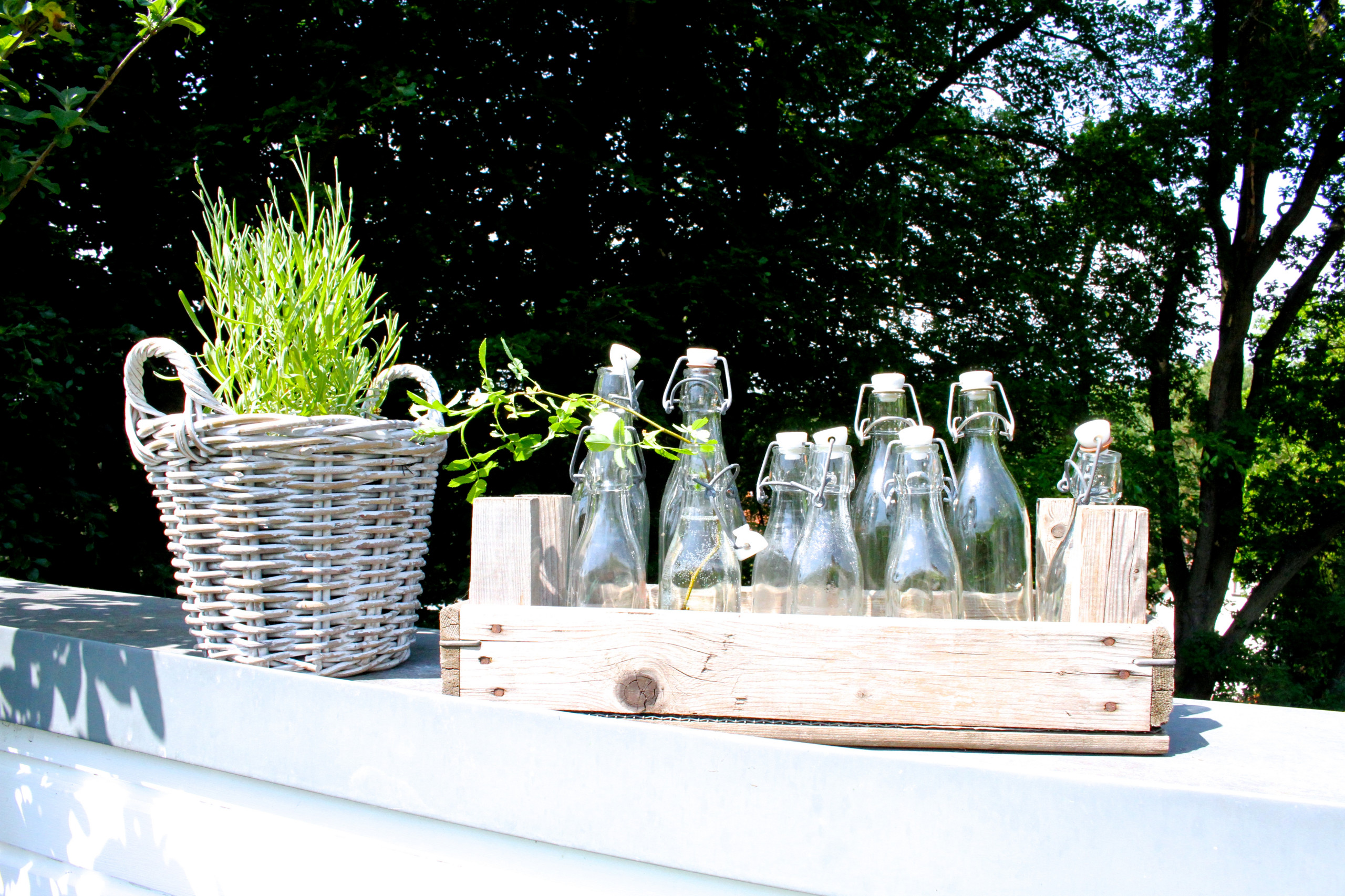 Houzz Германия: Цветущий сад на крыше в Берлине